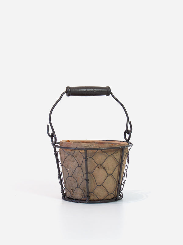 Aged Terracotta Pot in Wire Basket