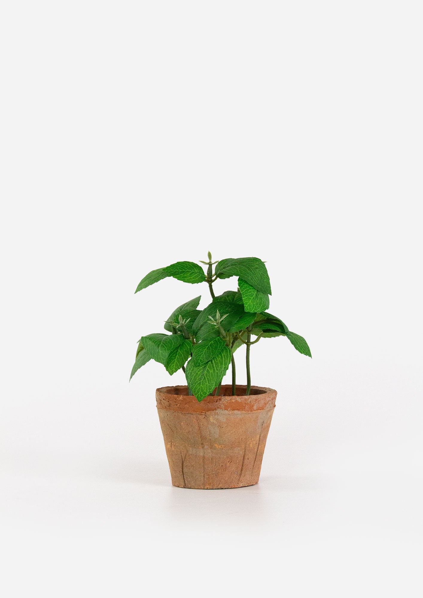 Artificial Herbs in Terracotta Pot