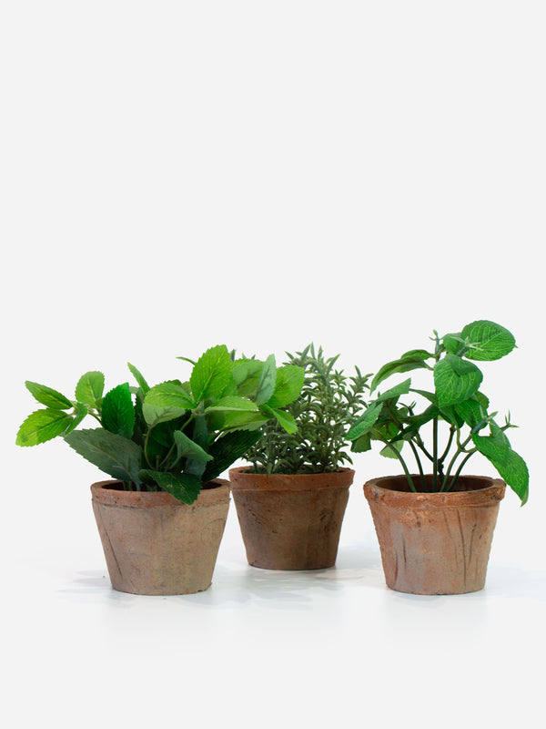 Artificial Herbs in Terracotta Pot