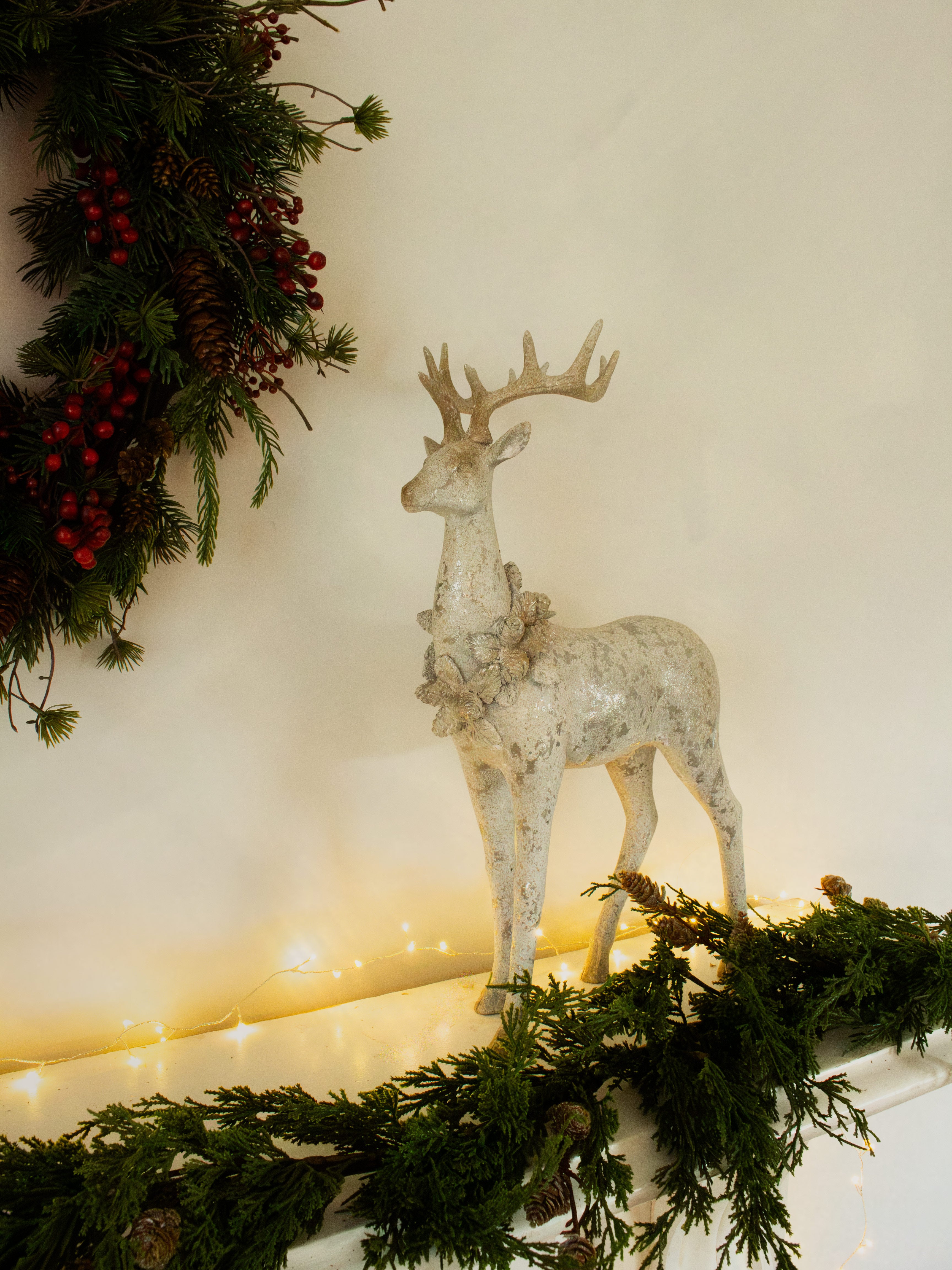 Aurora Stag