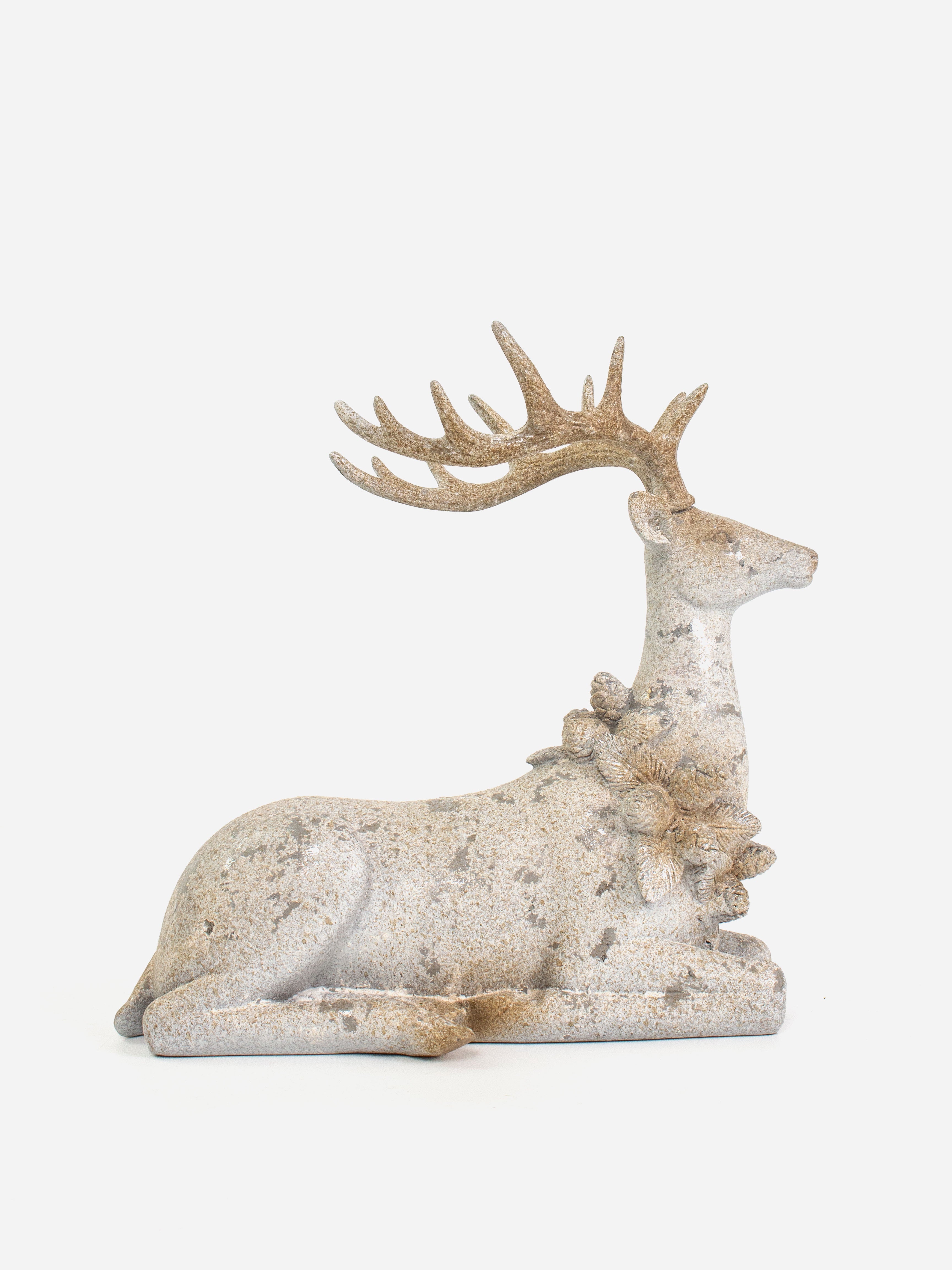 Aurora Stag