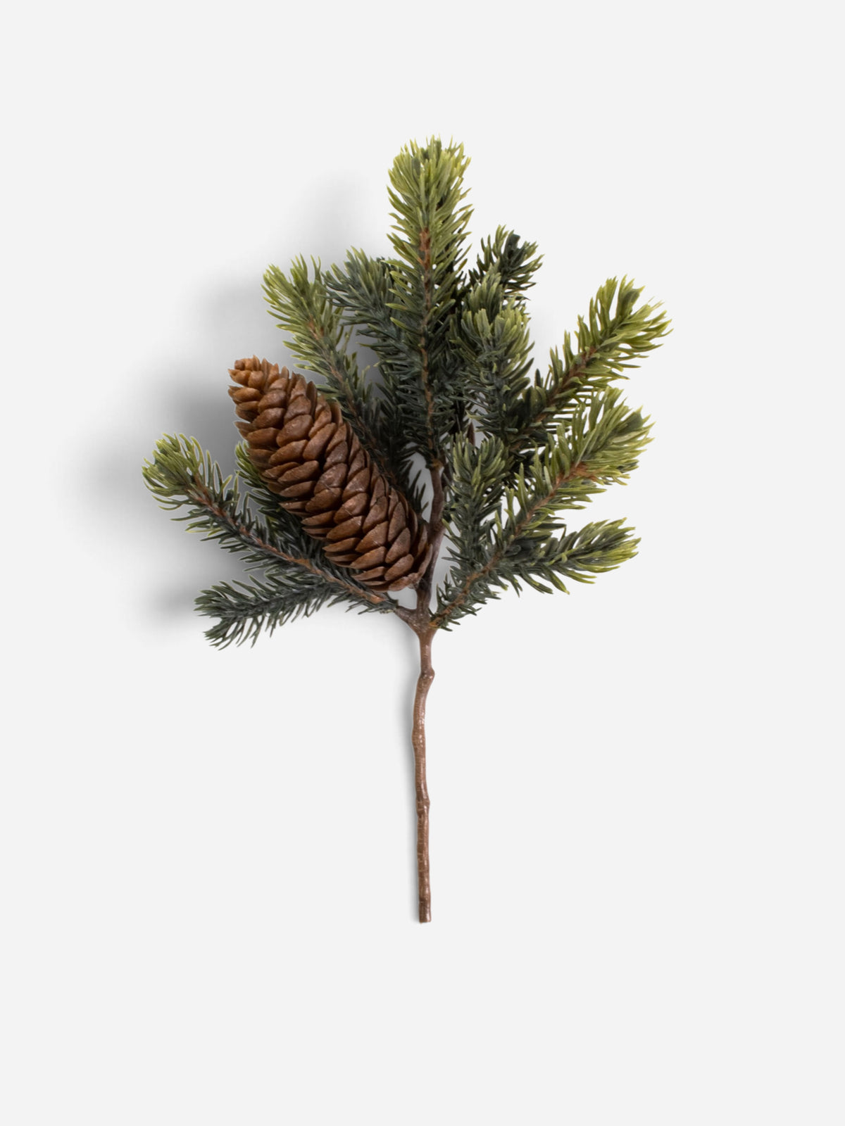 Balsam Fir Cone Spray