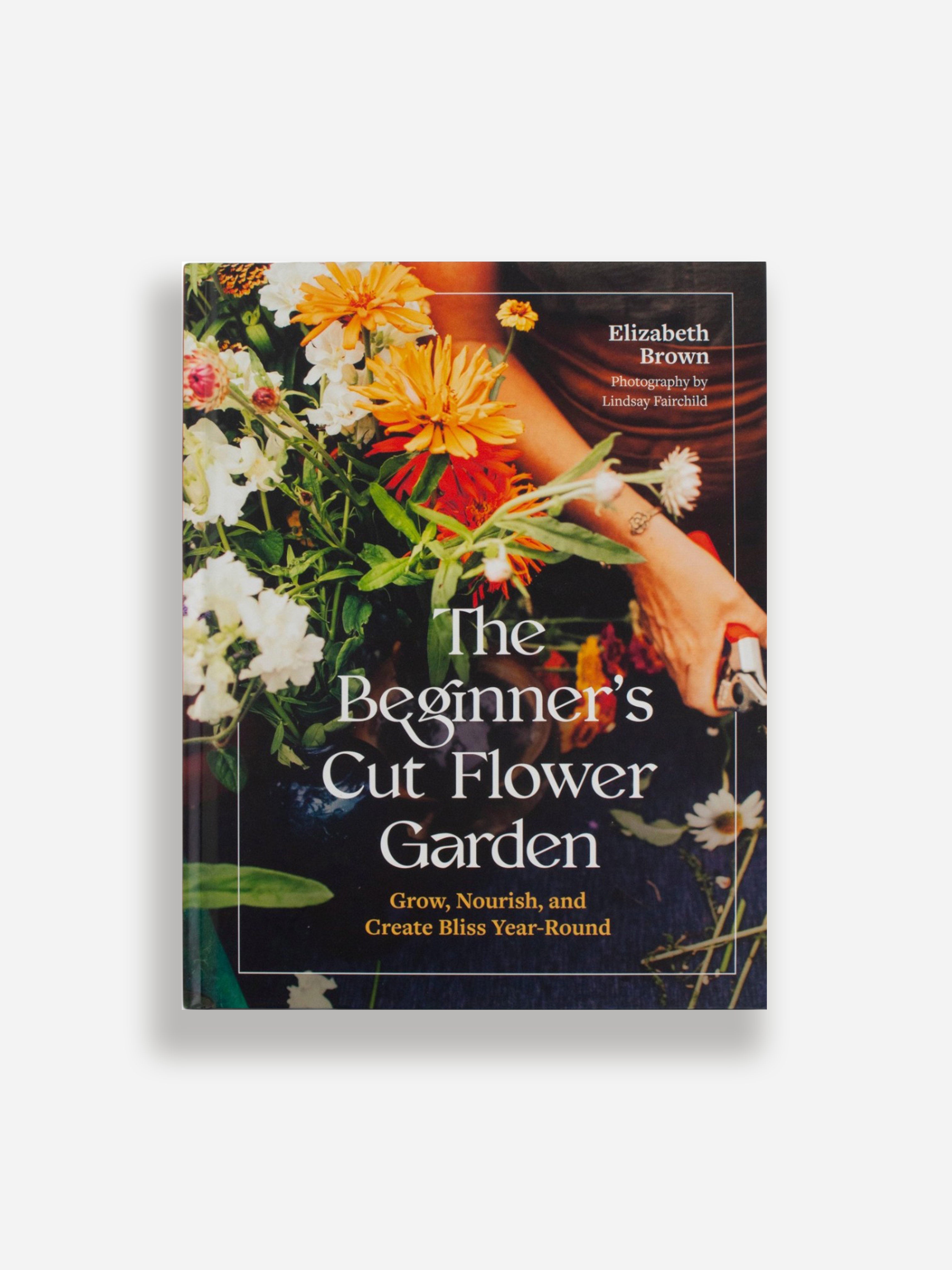 Beginners Cut Flower Garden