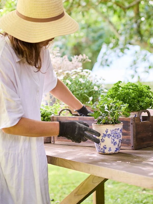 Blue Floral Herb Pot