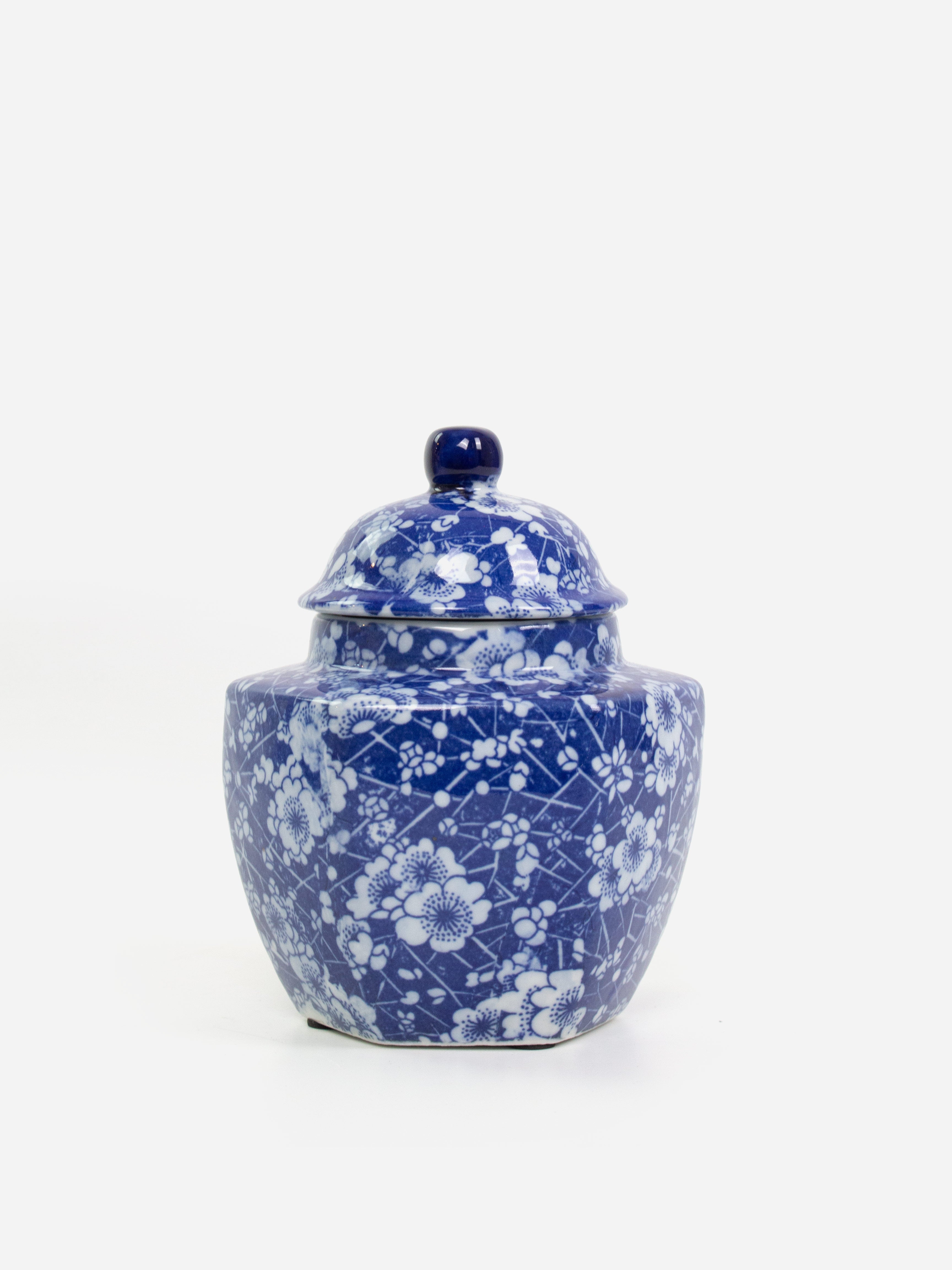 Blue and White Chinese Ceramic Jar