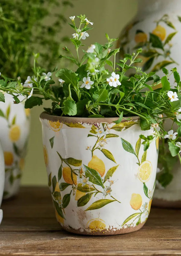 Botanical Lemon Pot