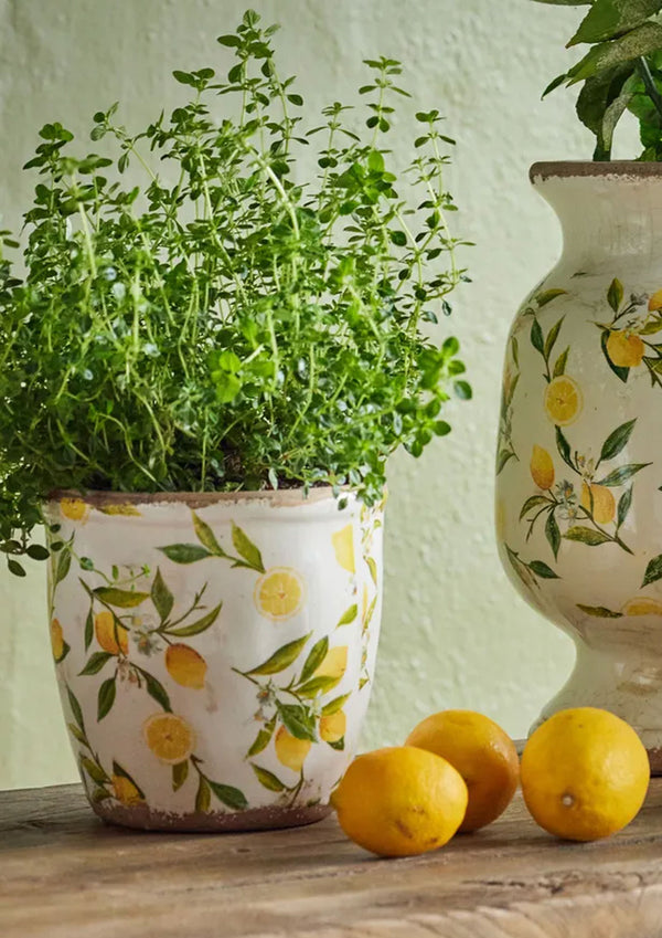 Botanical Lemon Pot