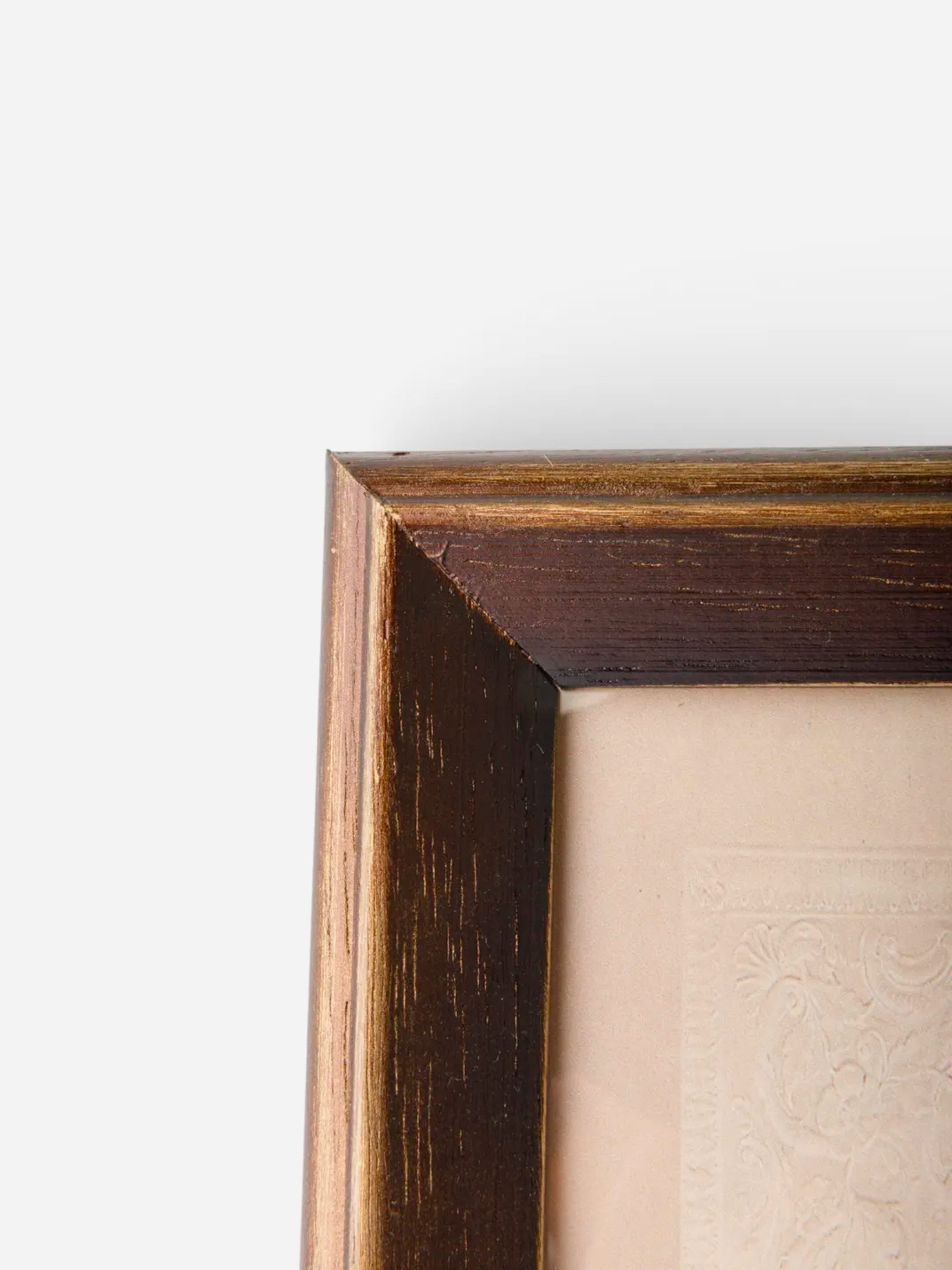 Butterfly Study Wall Art