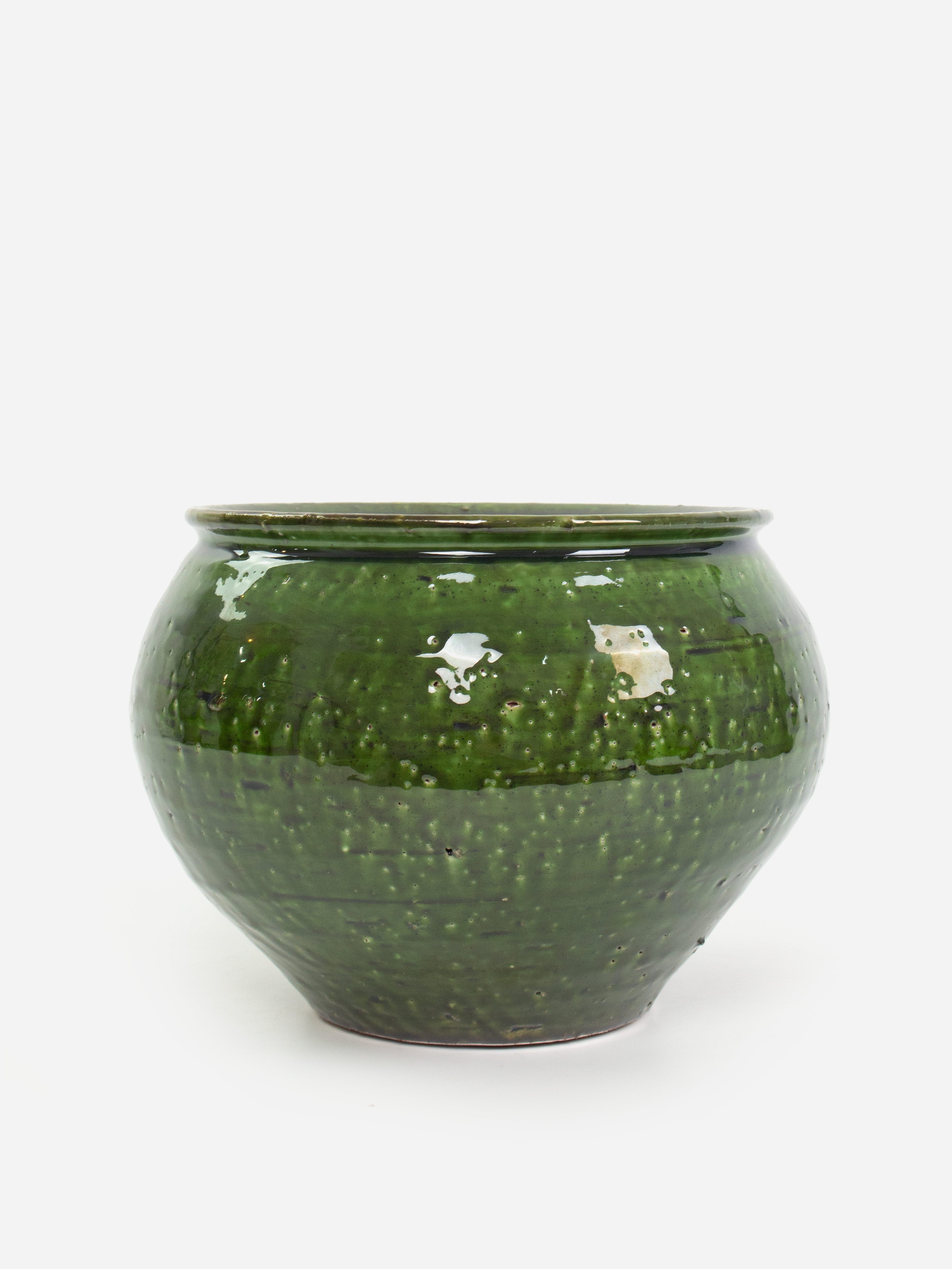 Cacao Green Pot