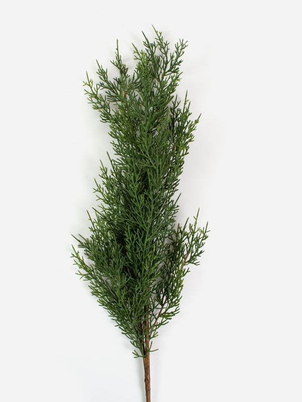 Cedar Branch