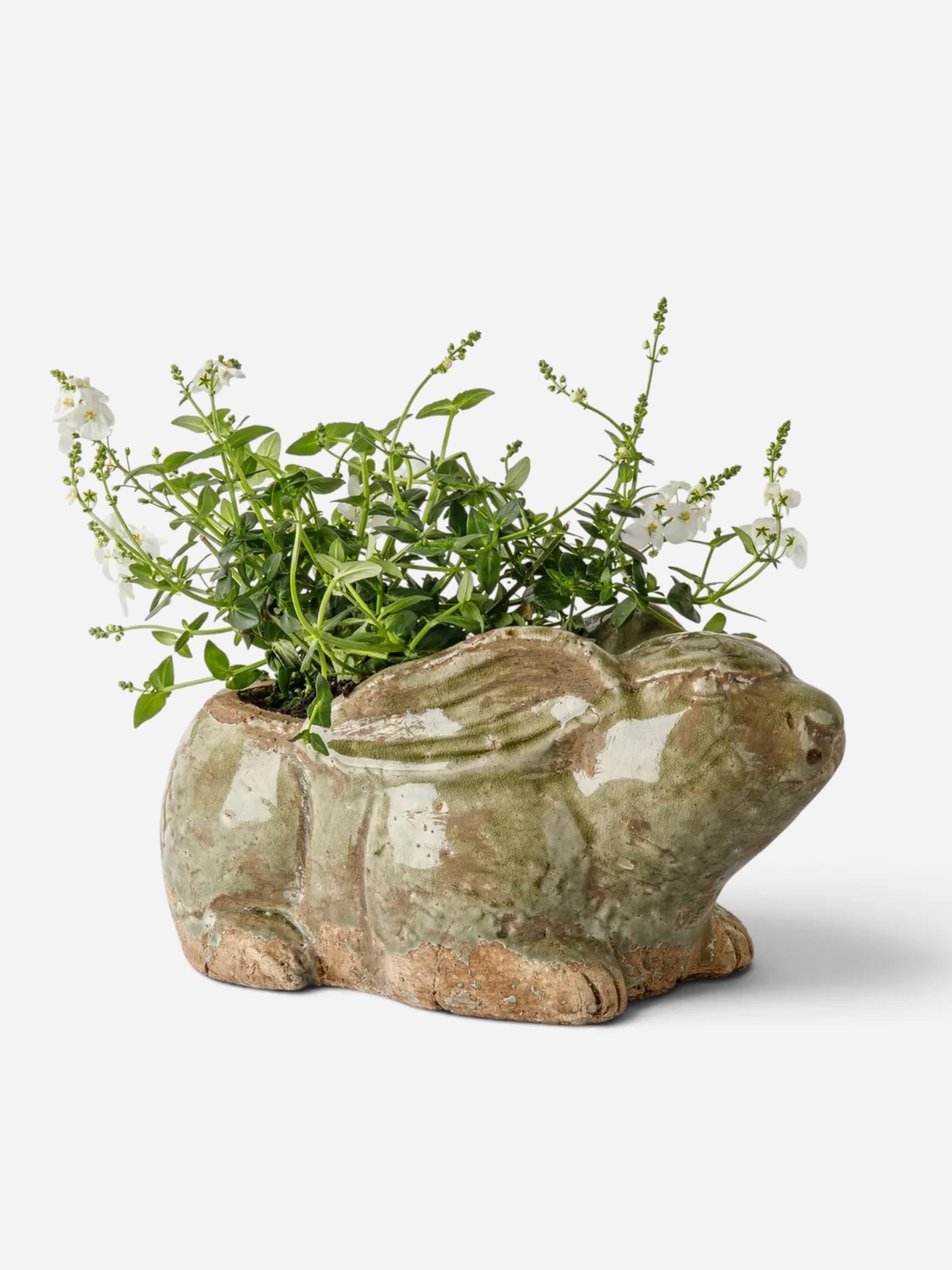 Celadon Rabbit Planter