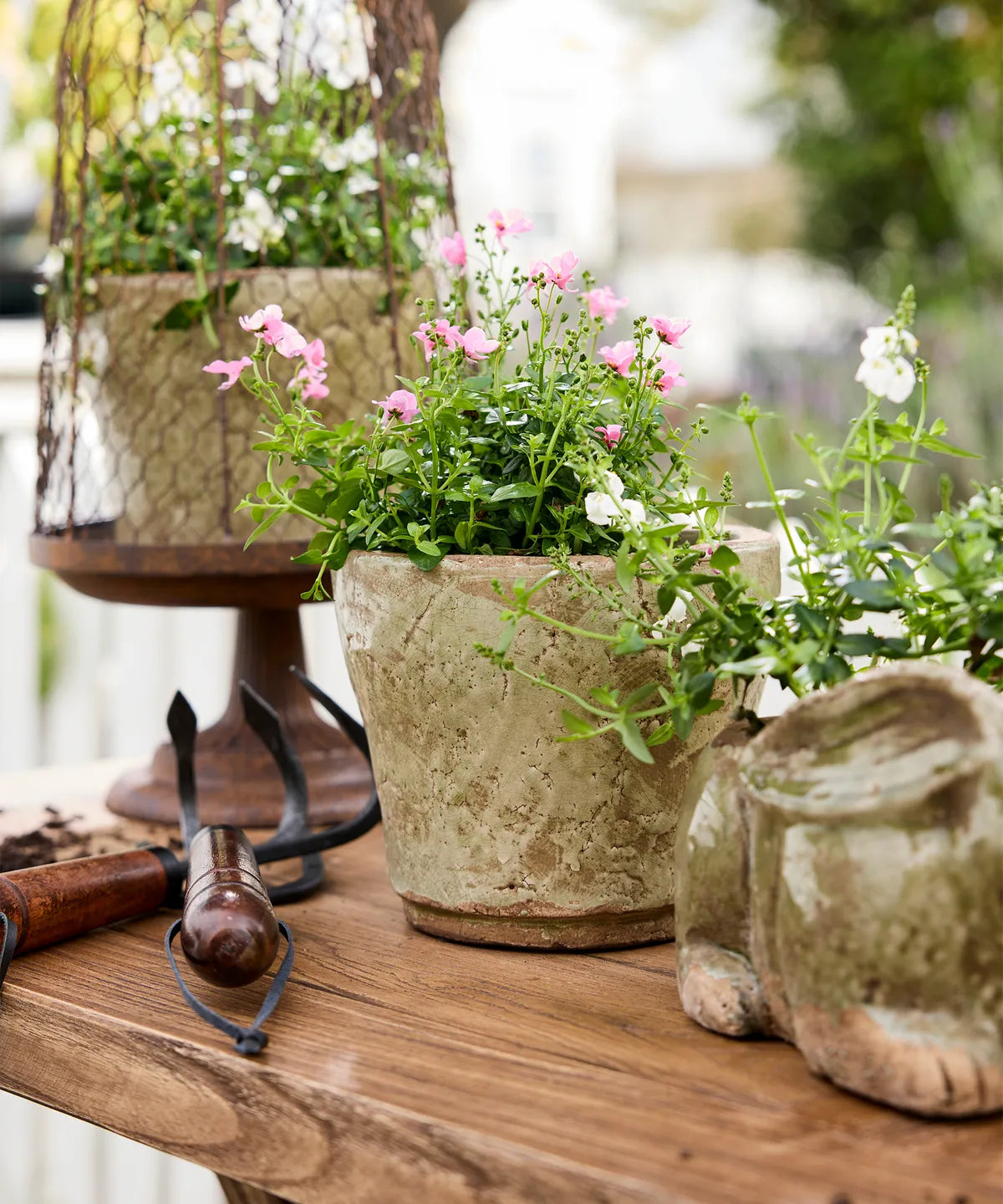 Celadon Herb Planter
