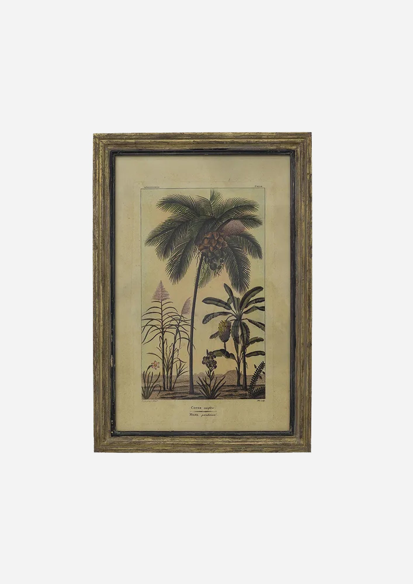 Coconut Tree Wall Art