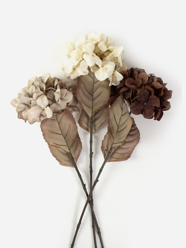 Dried Look Hydrangea 70cm