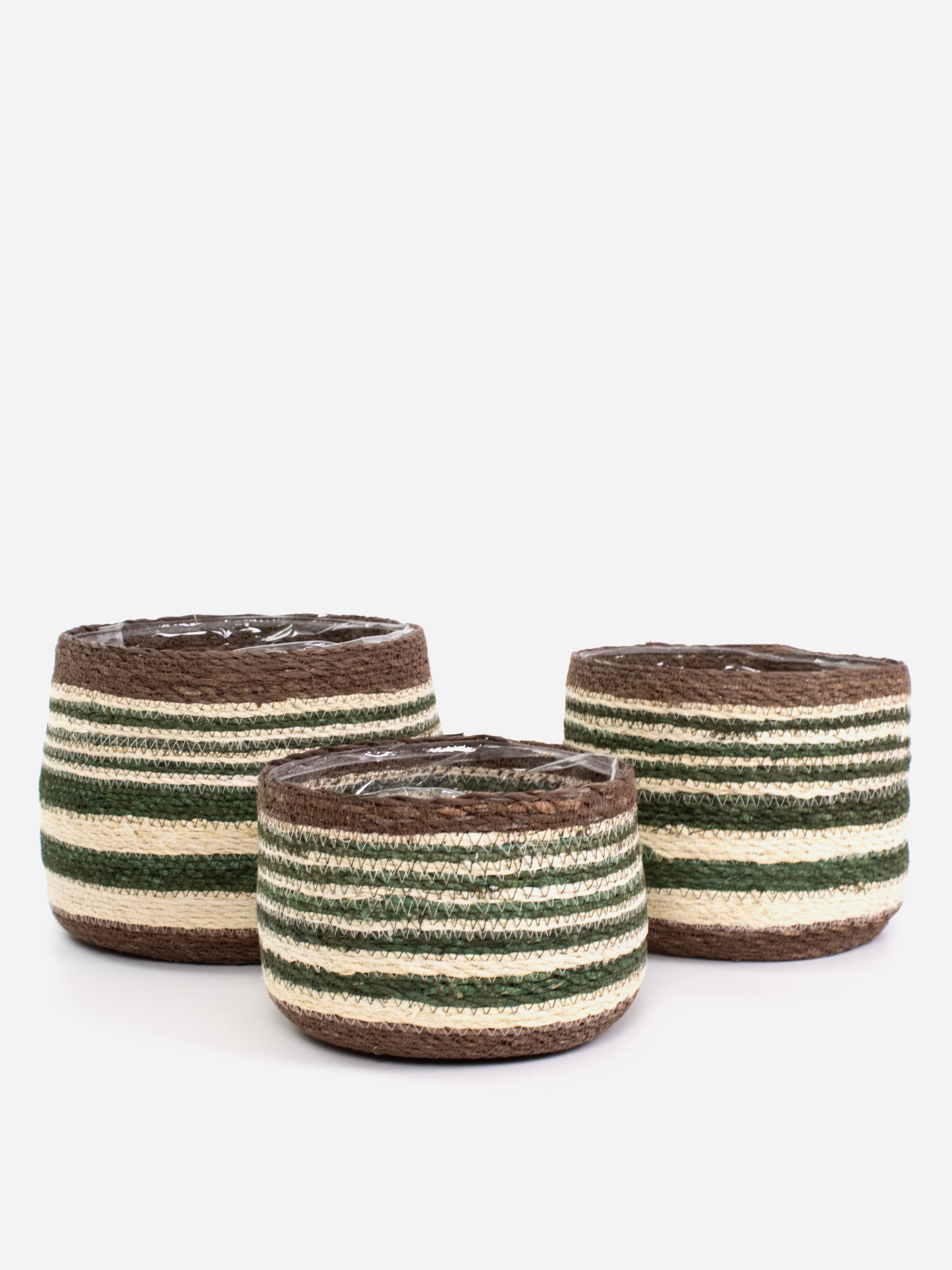 Eloise Olive Bulb Basket