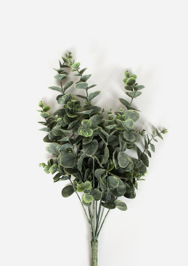 Eucalyptus Bush | Grey & Green