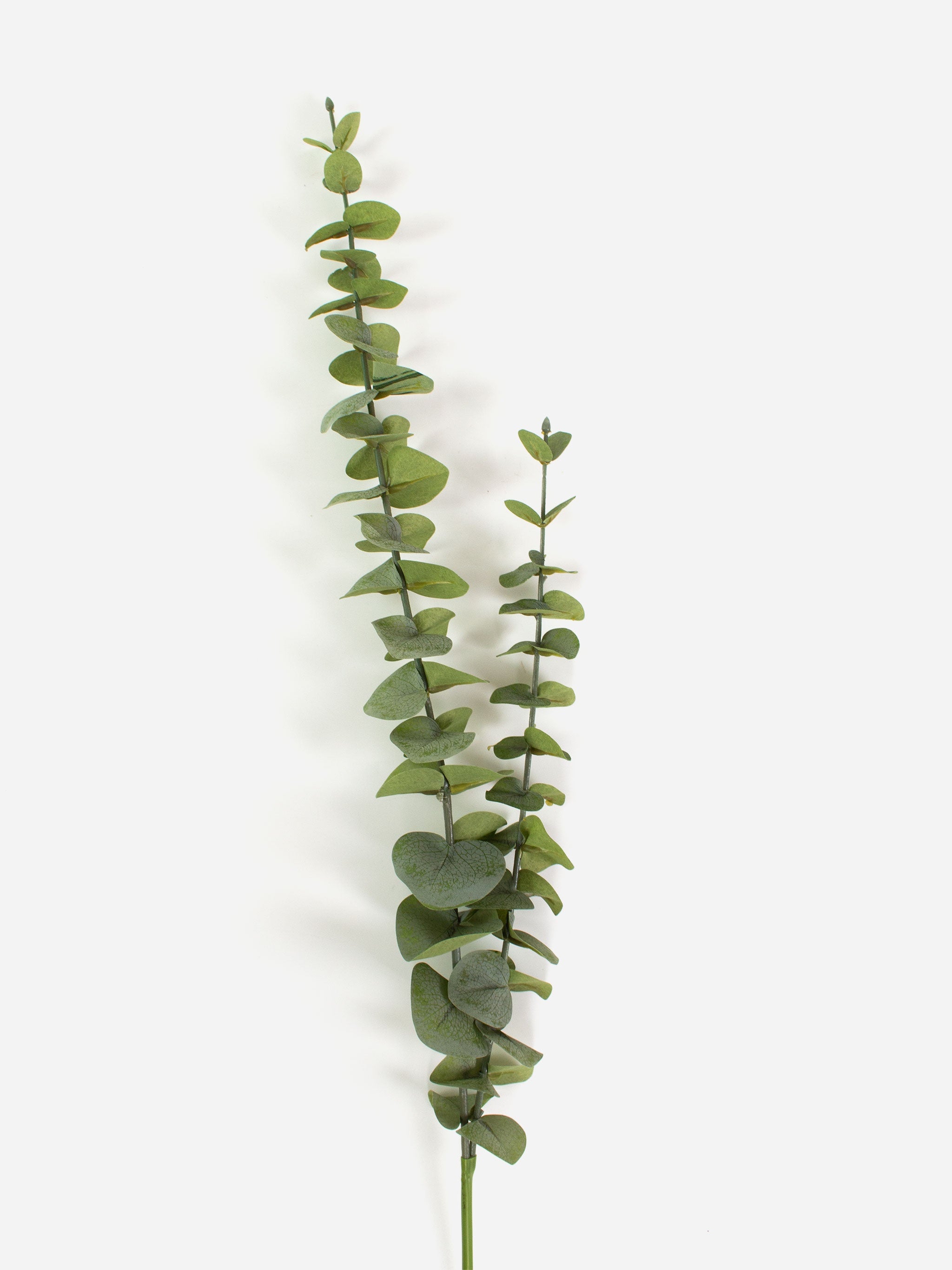 Eucalyptus Spray 84cm