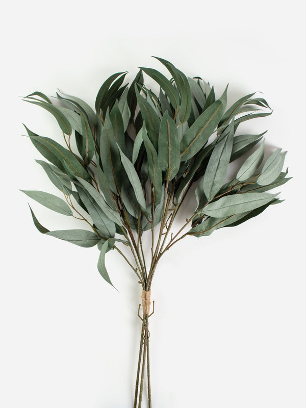 Eucalyptus Spray Bunch