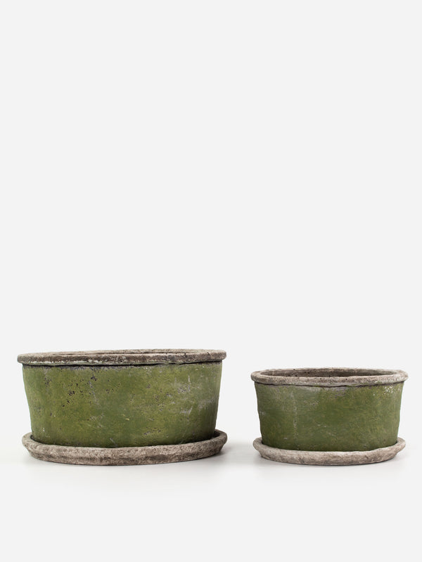 Evergreen Wide Plant Pot & Saucer