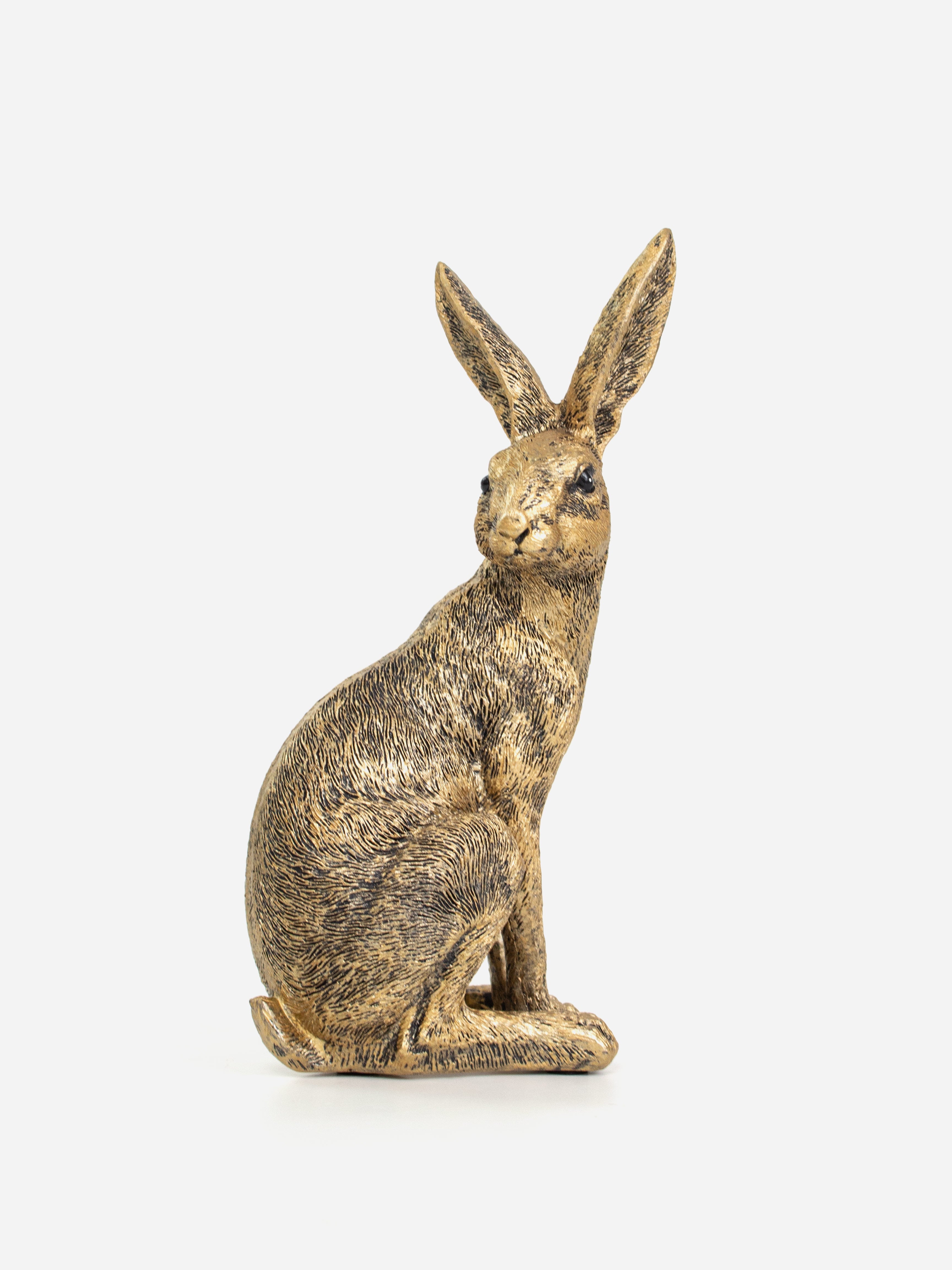 Gold Rabbit Sitting