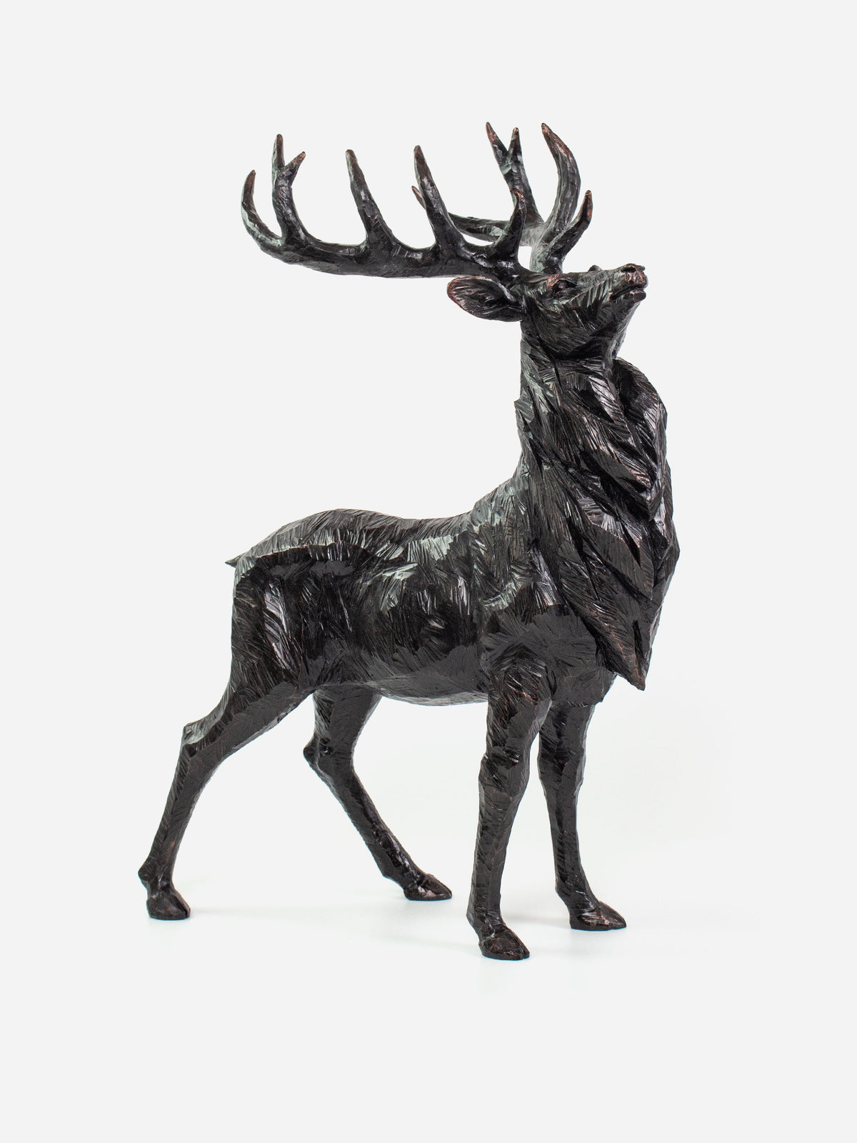 Head Up Black Stag