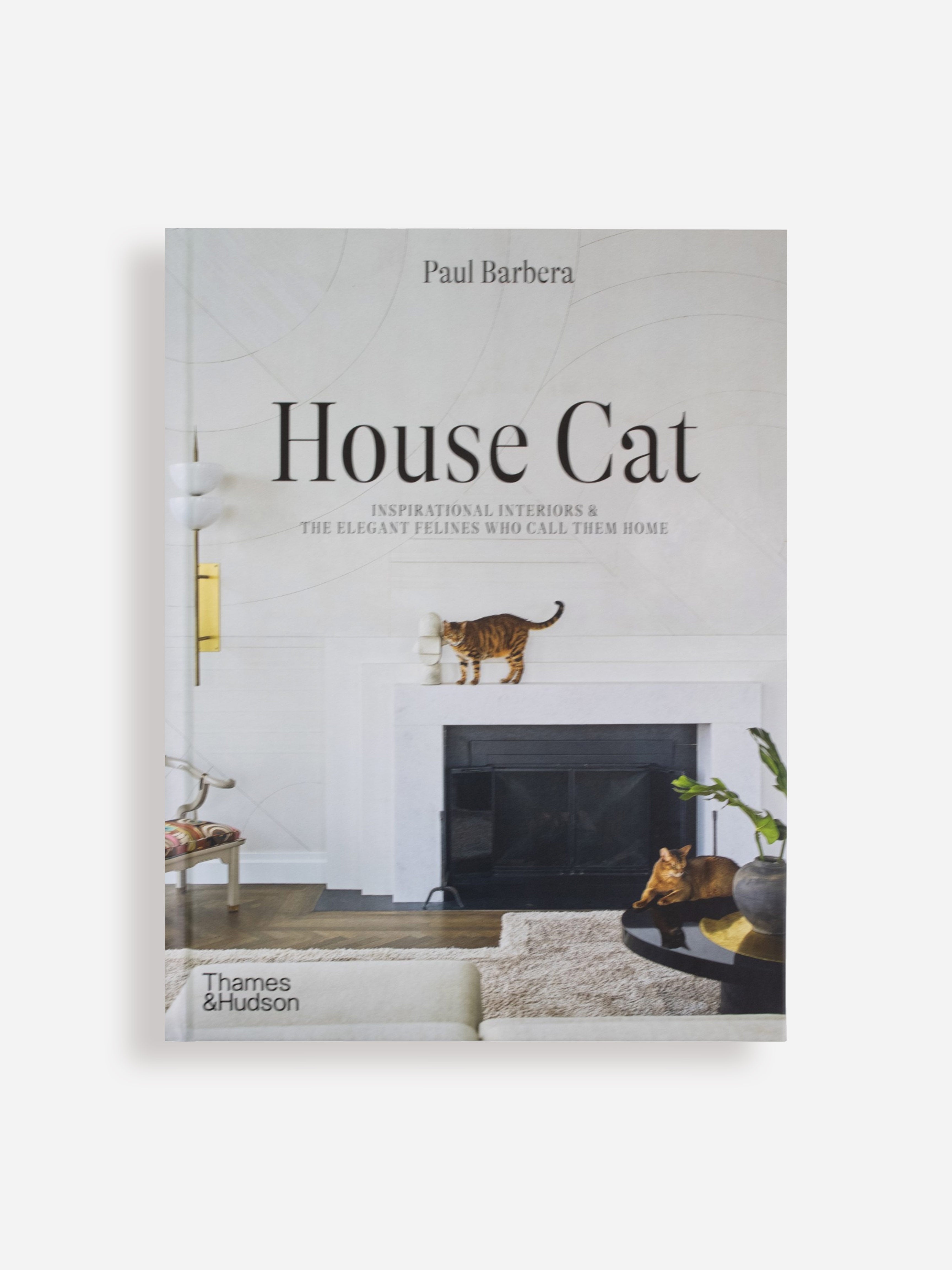House Cat