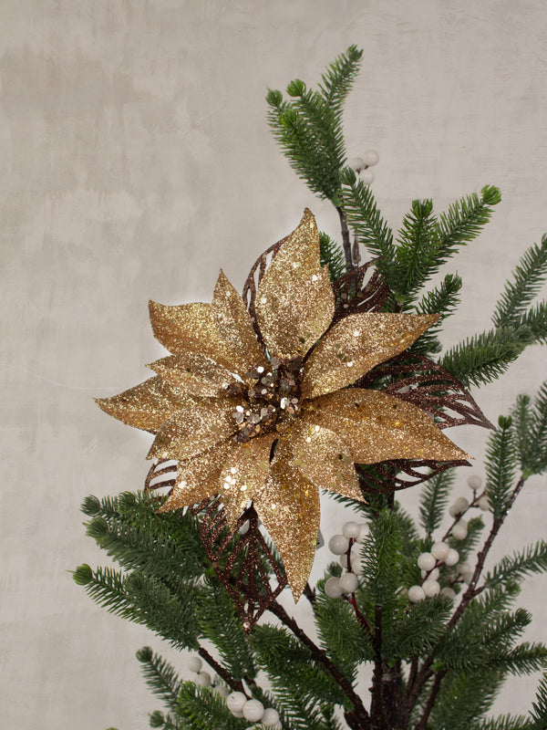 Astrid Bronze Poinsettia