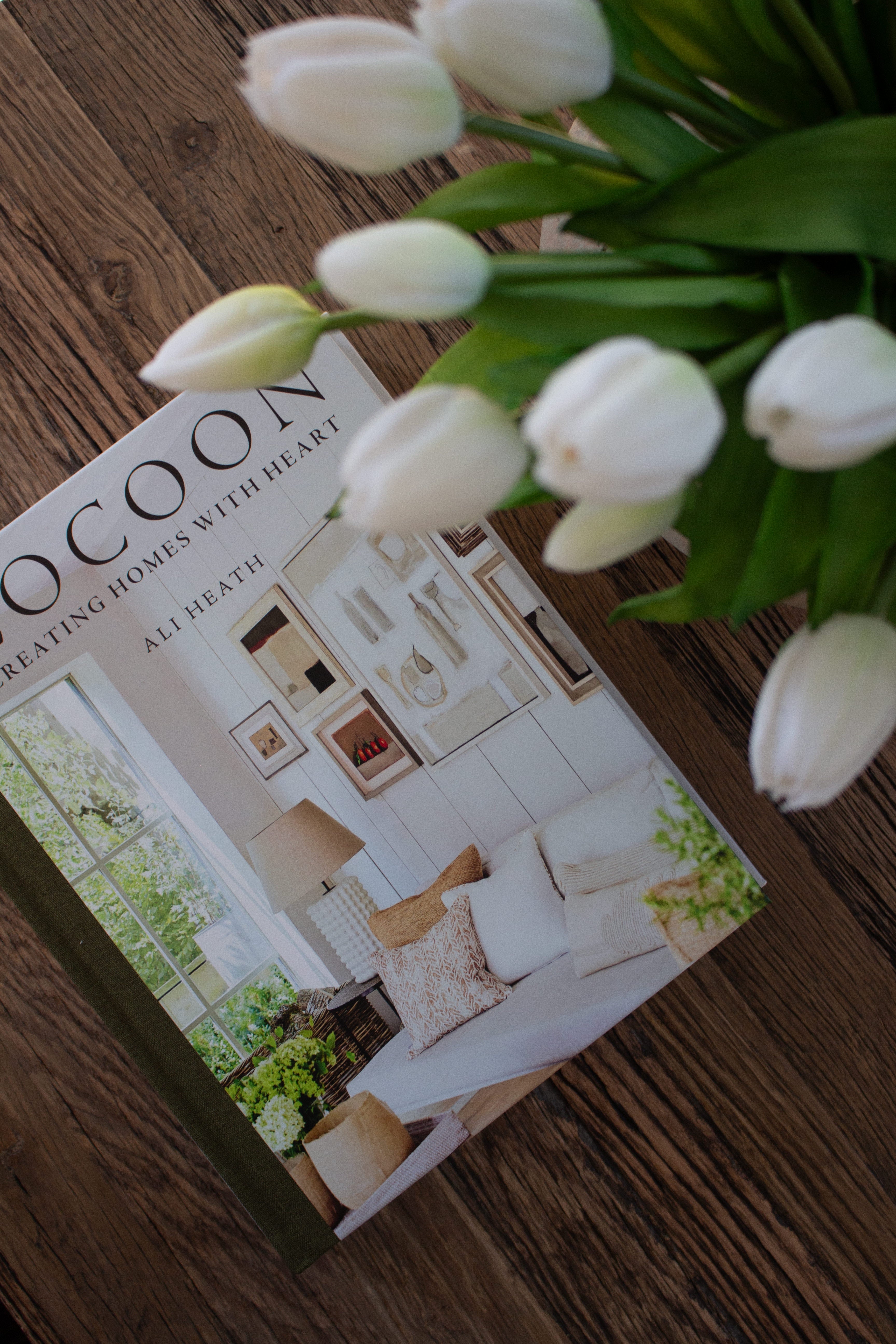 Cocoon: Creating Homes with Heart