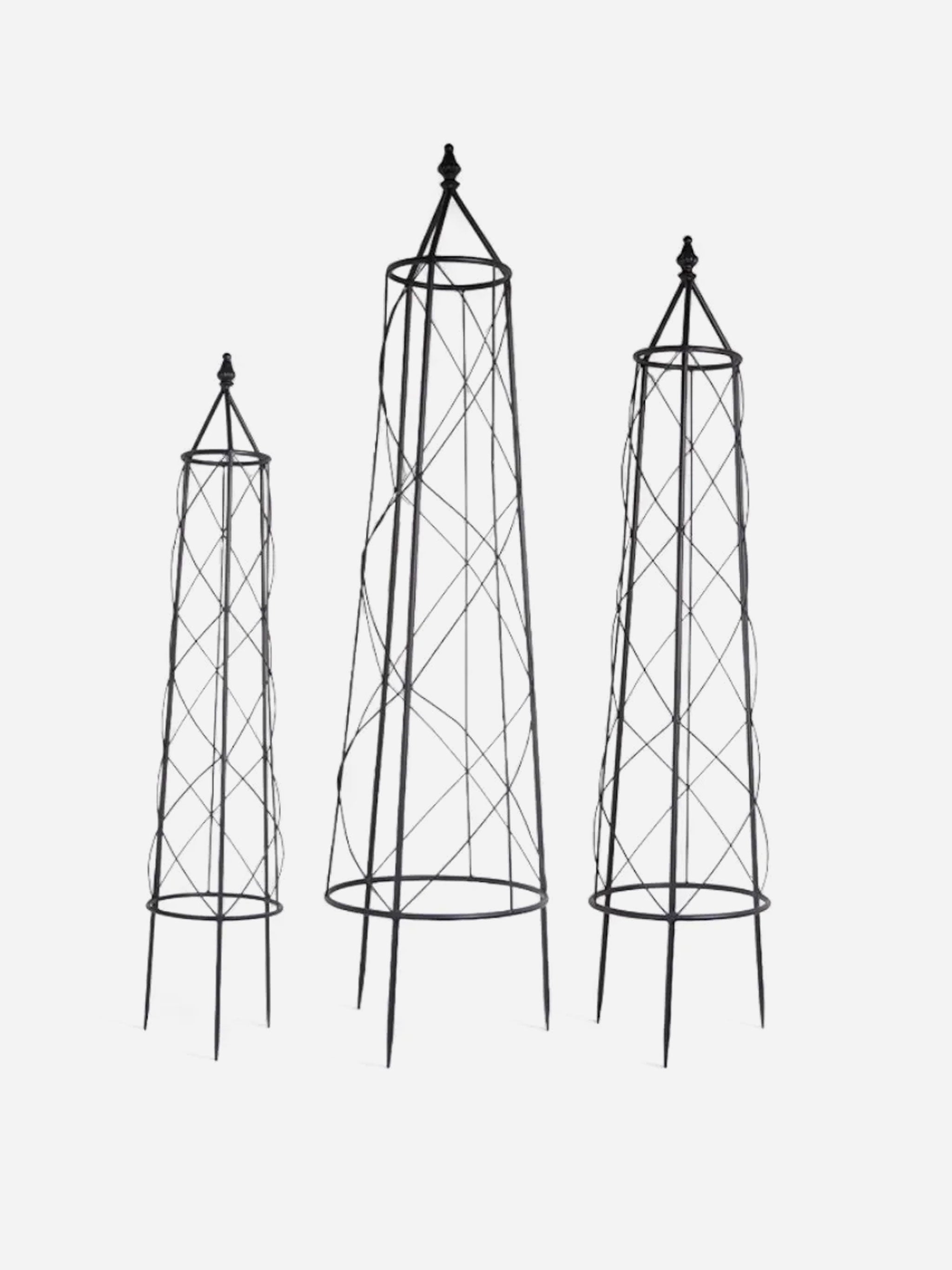 Ivy Plant Trellis Set