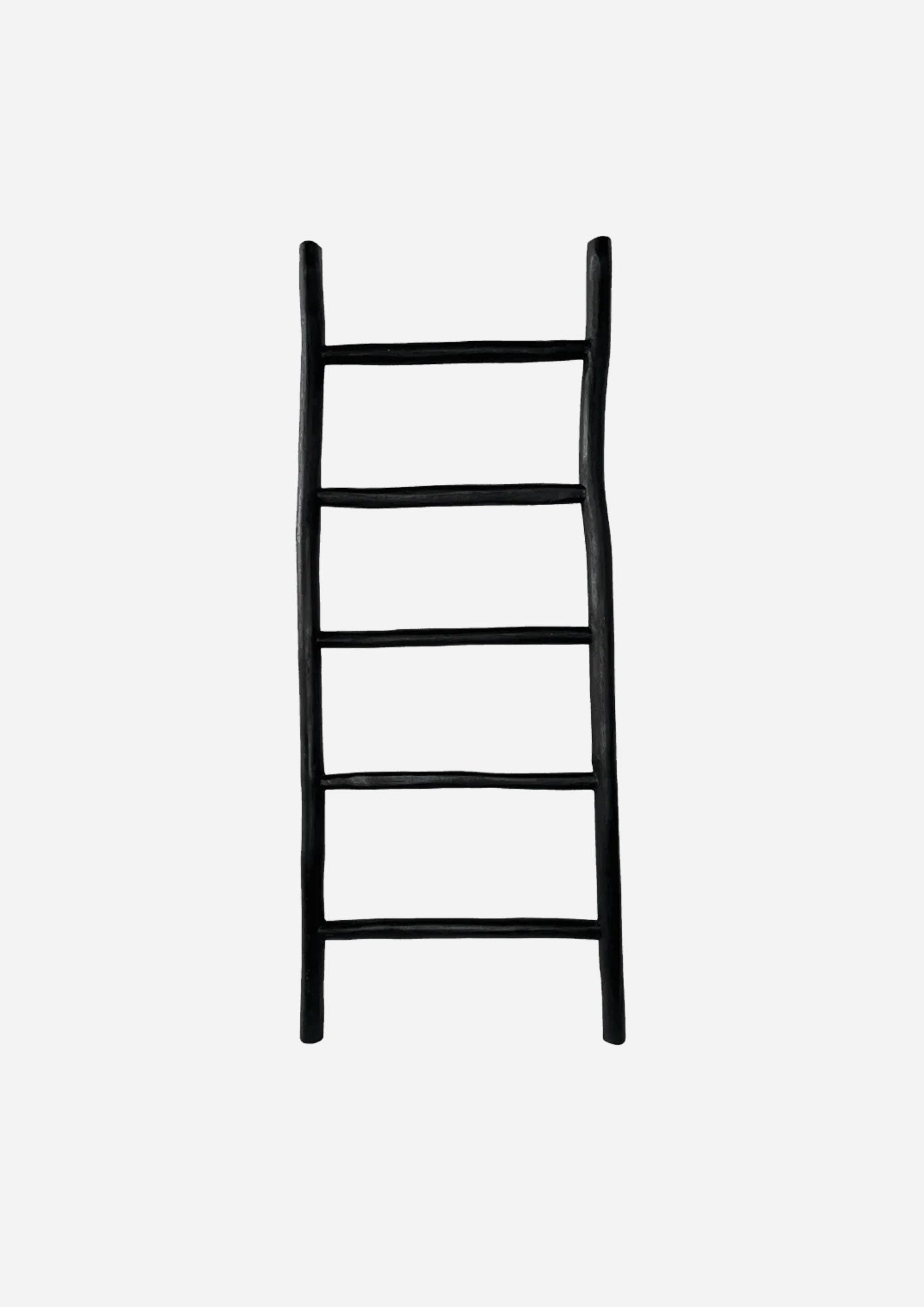 Lara Ladder