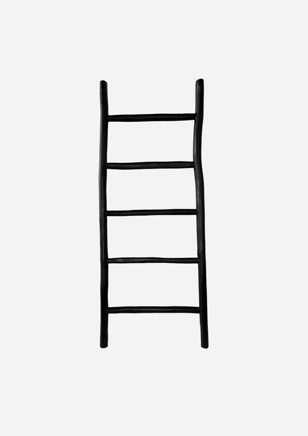 Lara Ladder