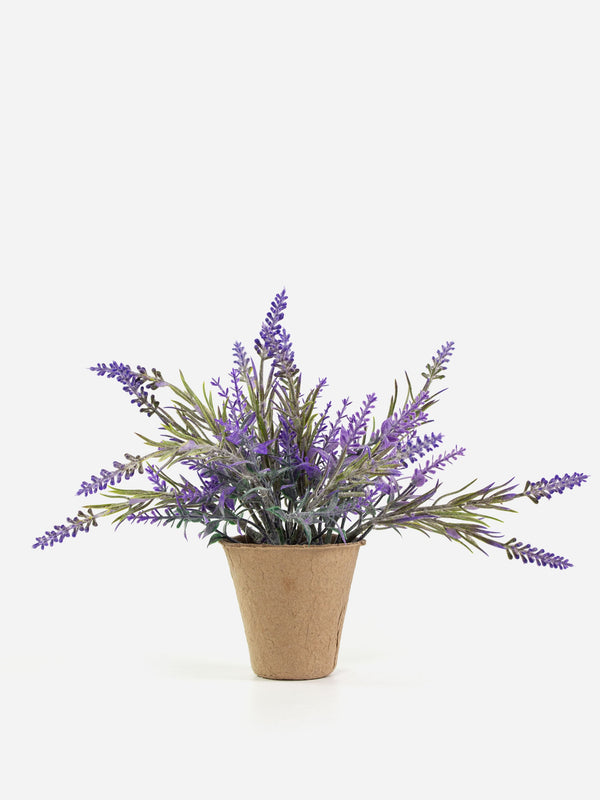 Lavender Pot