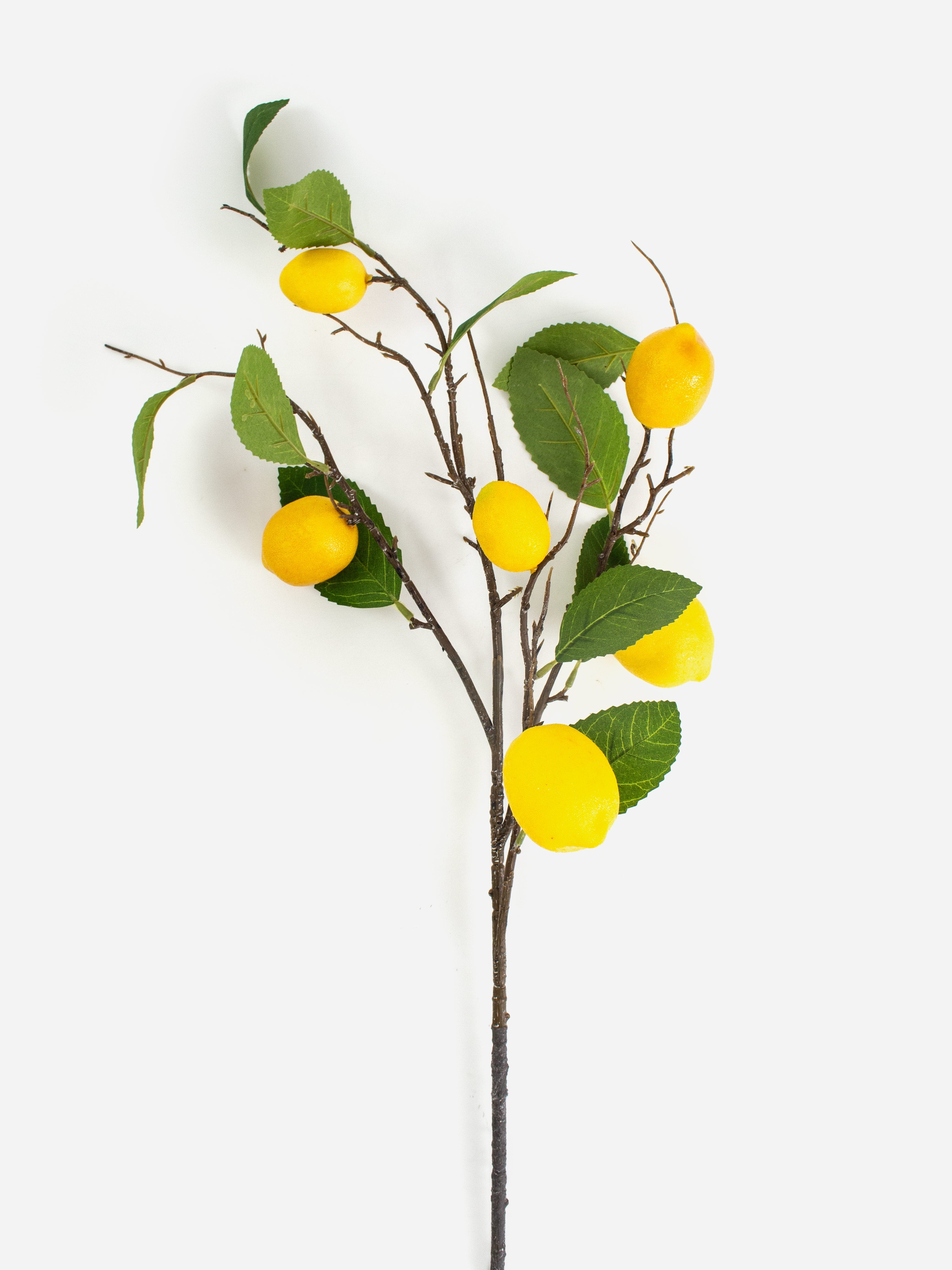 Lemon Sprig