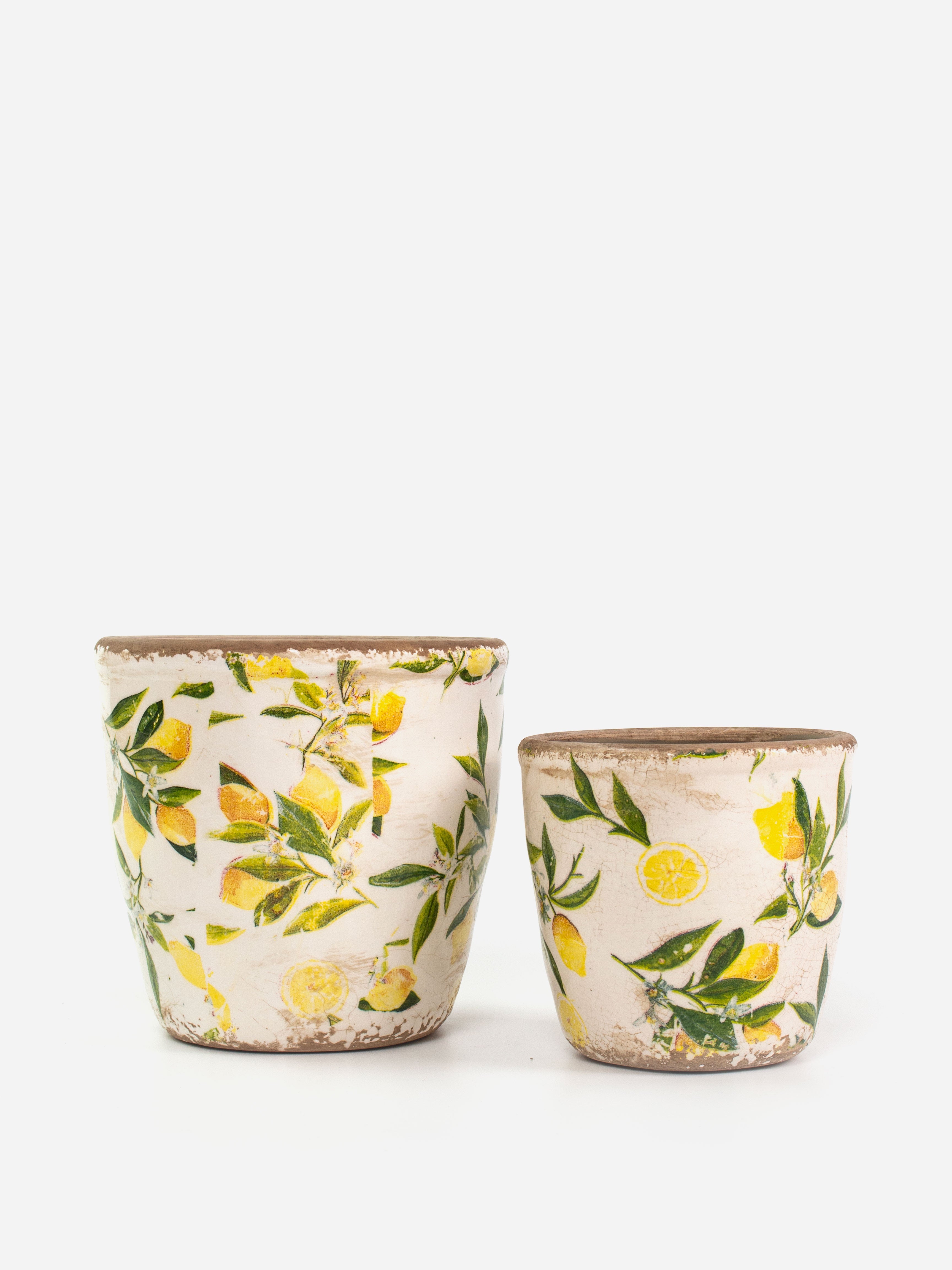 Limonette Planter