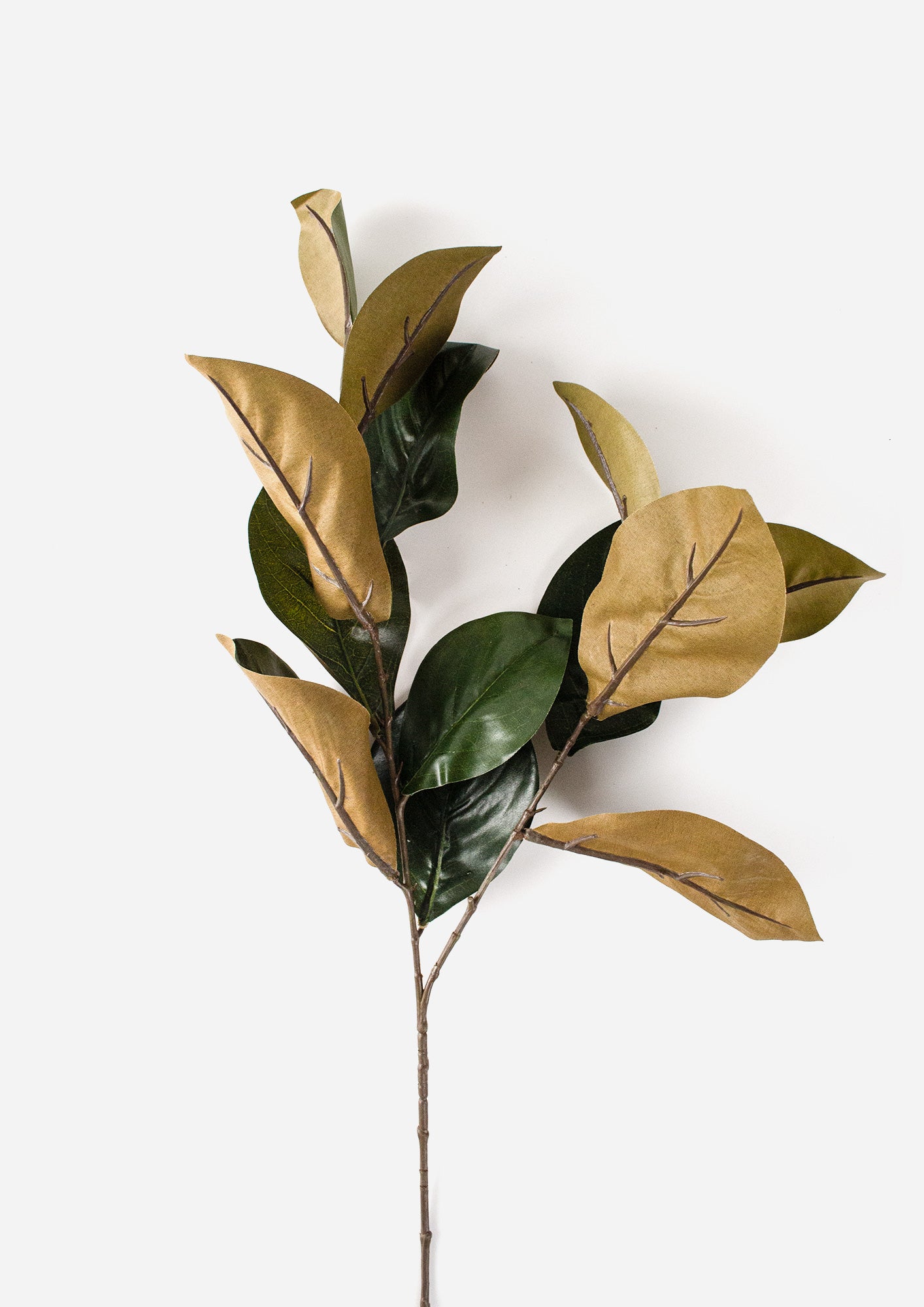 Magnolia Leaf Spray Green