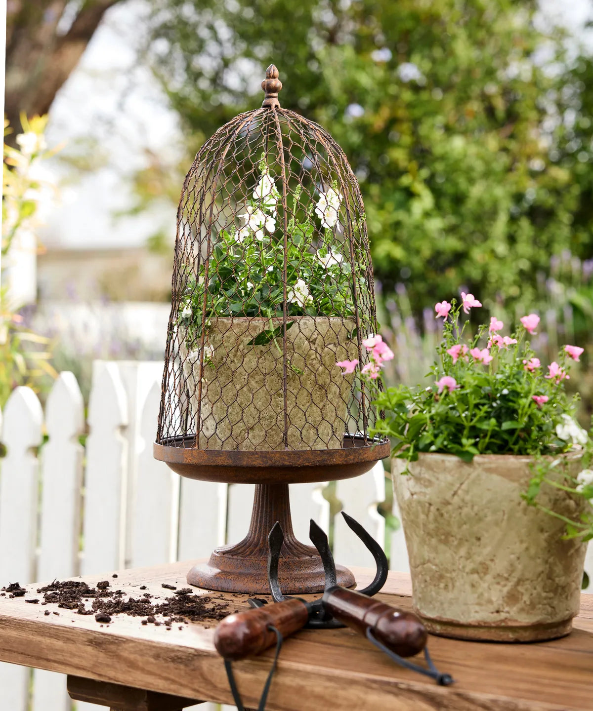 Maison Garden Cloche