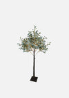 Light up Olive Tree - Dark Leaf