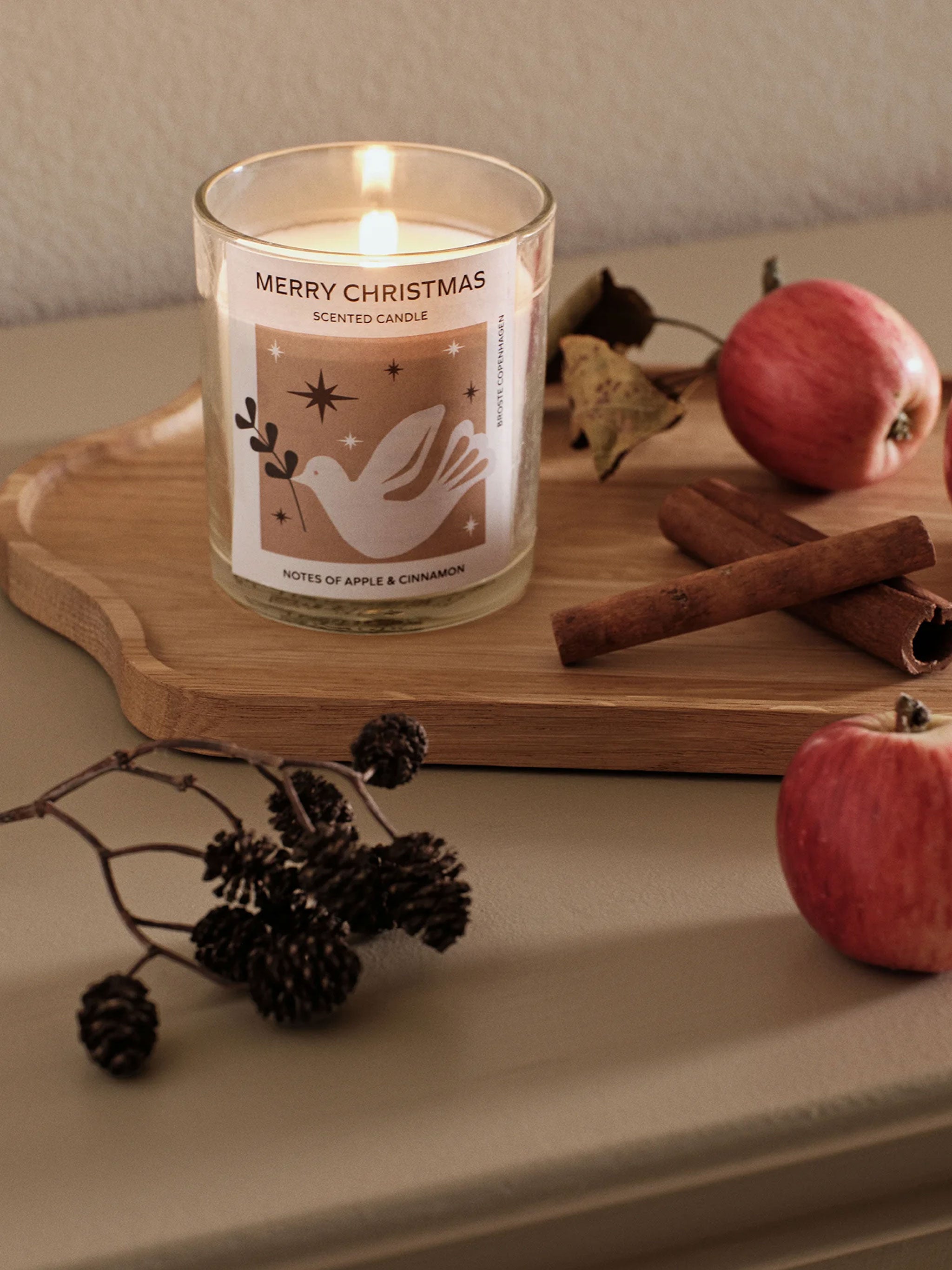 Merry Christmas Scented Candle