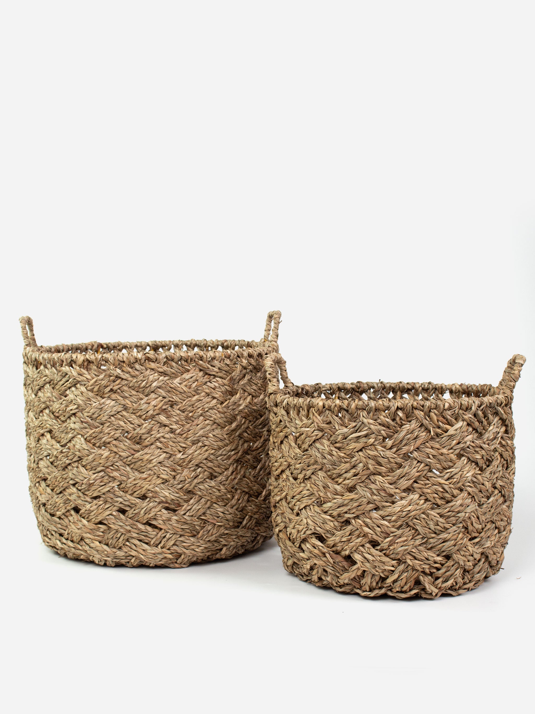 Oasis Basket