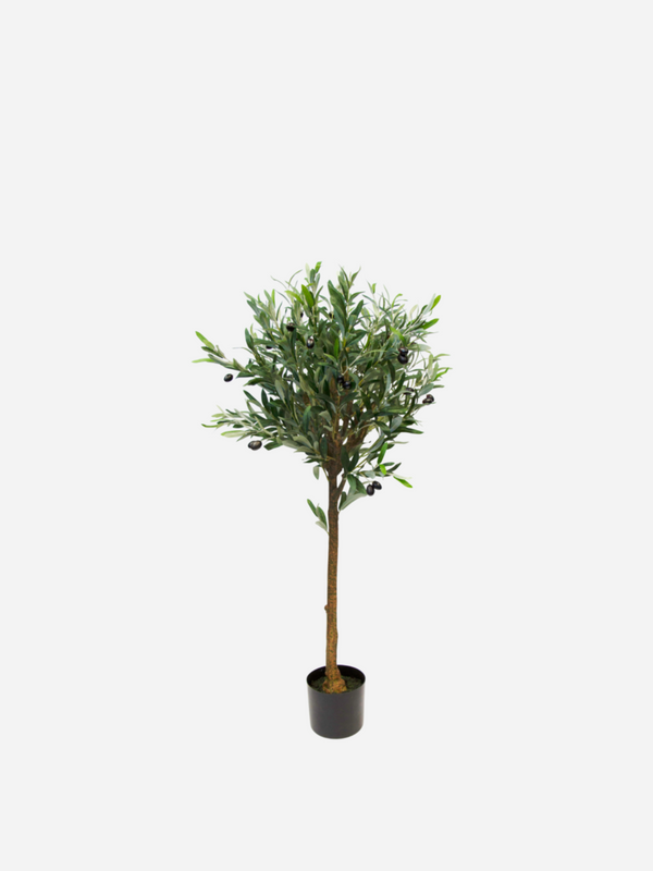 Olive Topiary