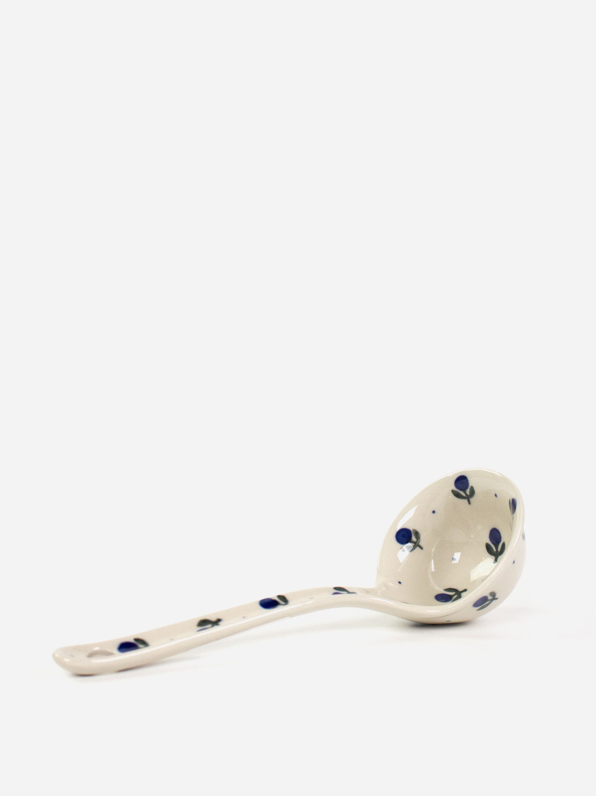 Polishware 23cm Ladle