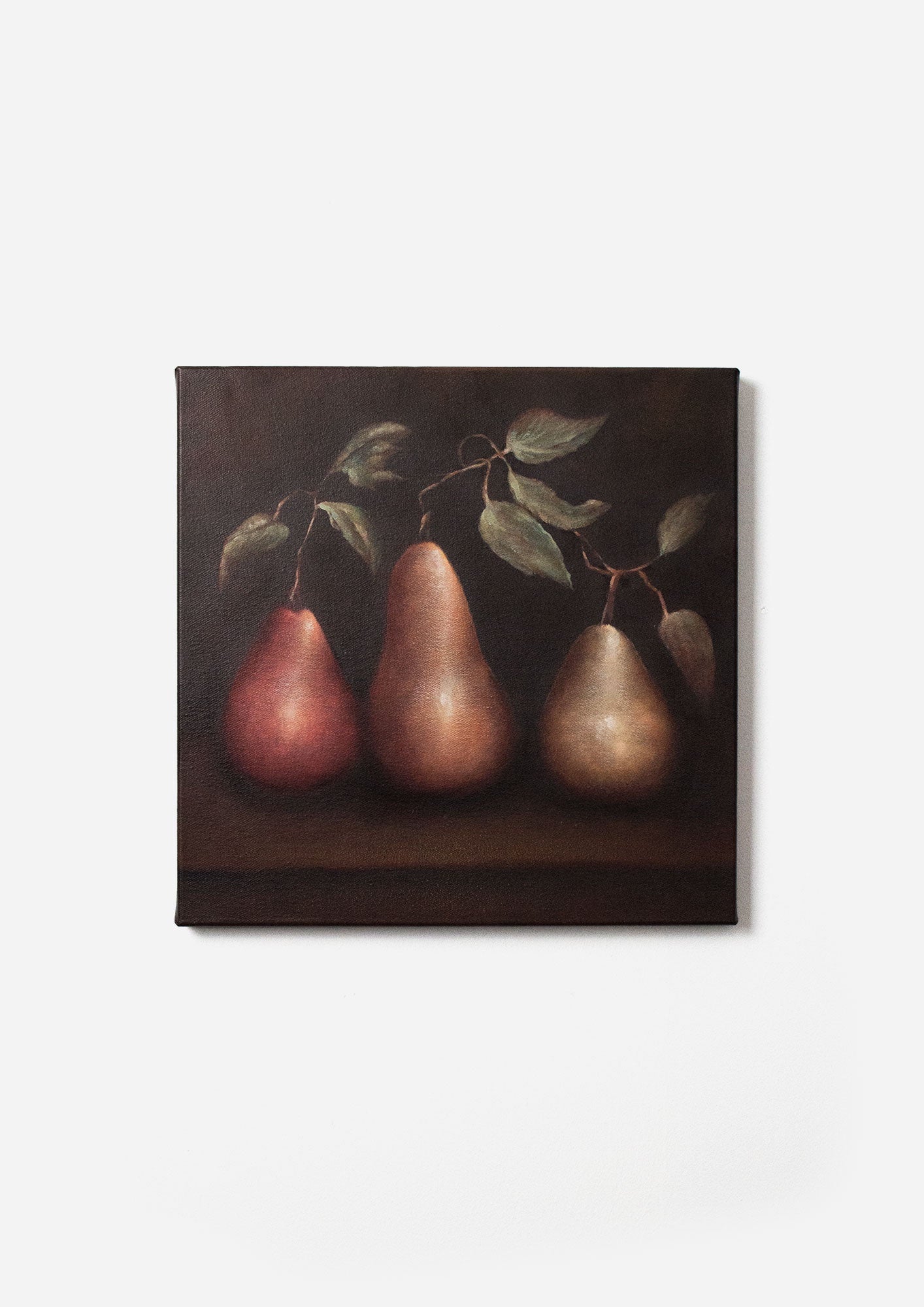 Raphael Trio Pear Canvas