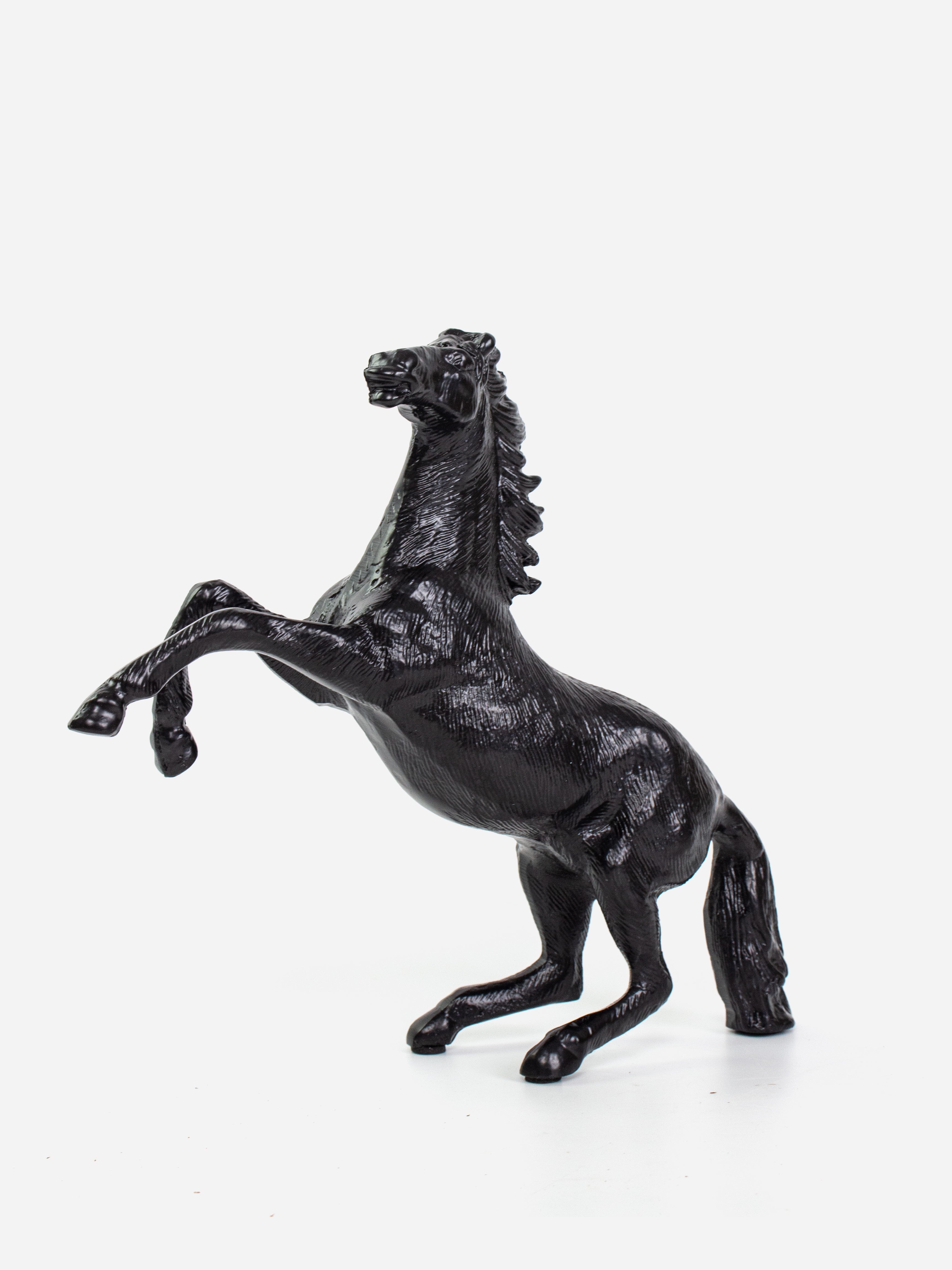 Rearing Black Horse