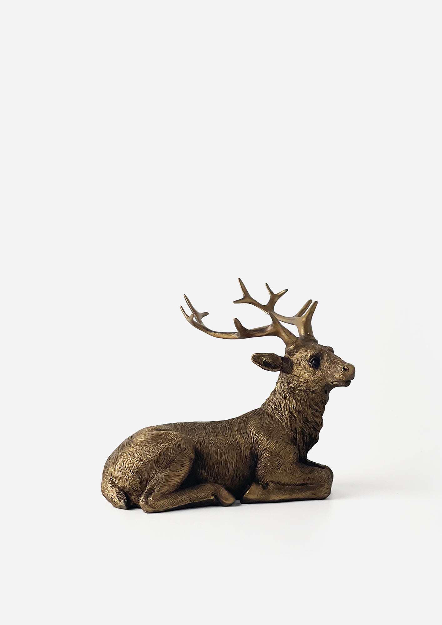 Reflections Bronze Sitting Stag