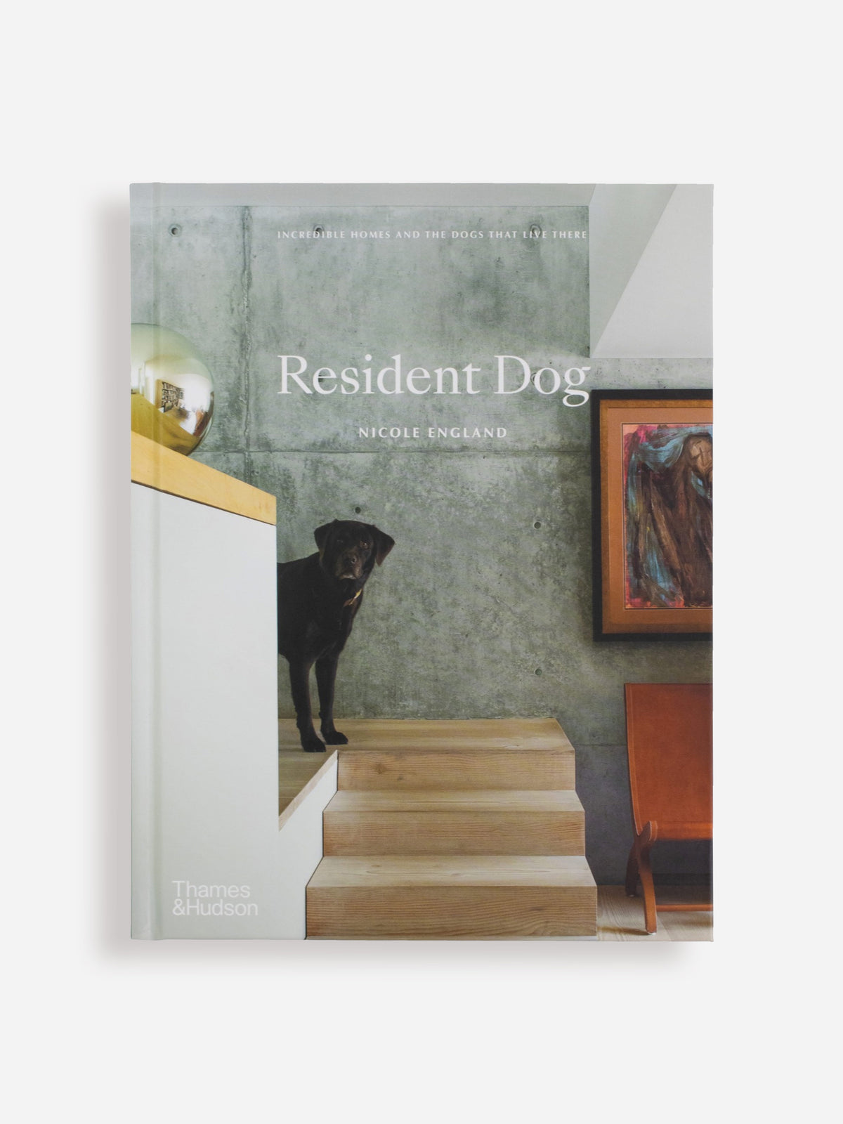Resident Dog