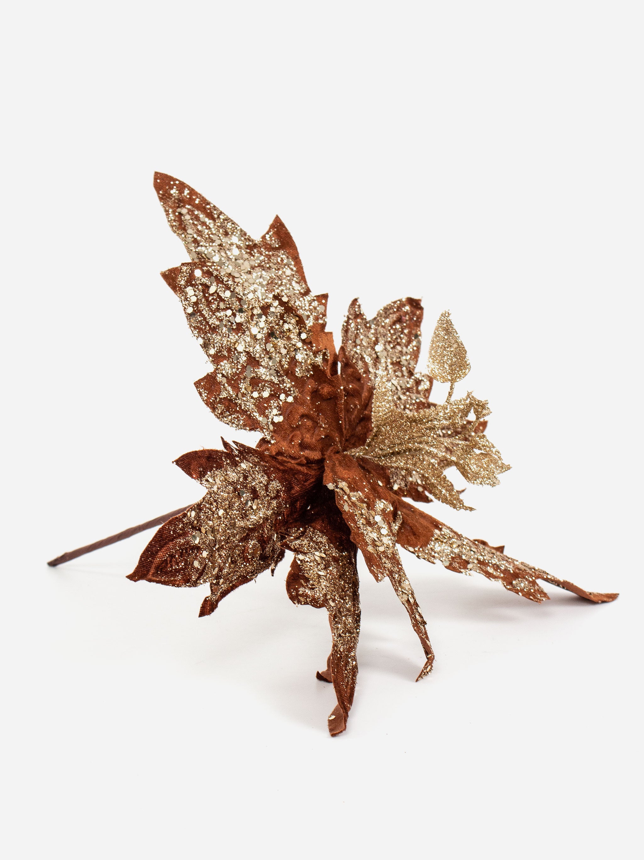 Ribbed Coffee Poinsettia