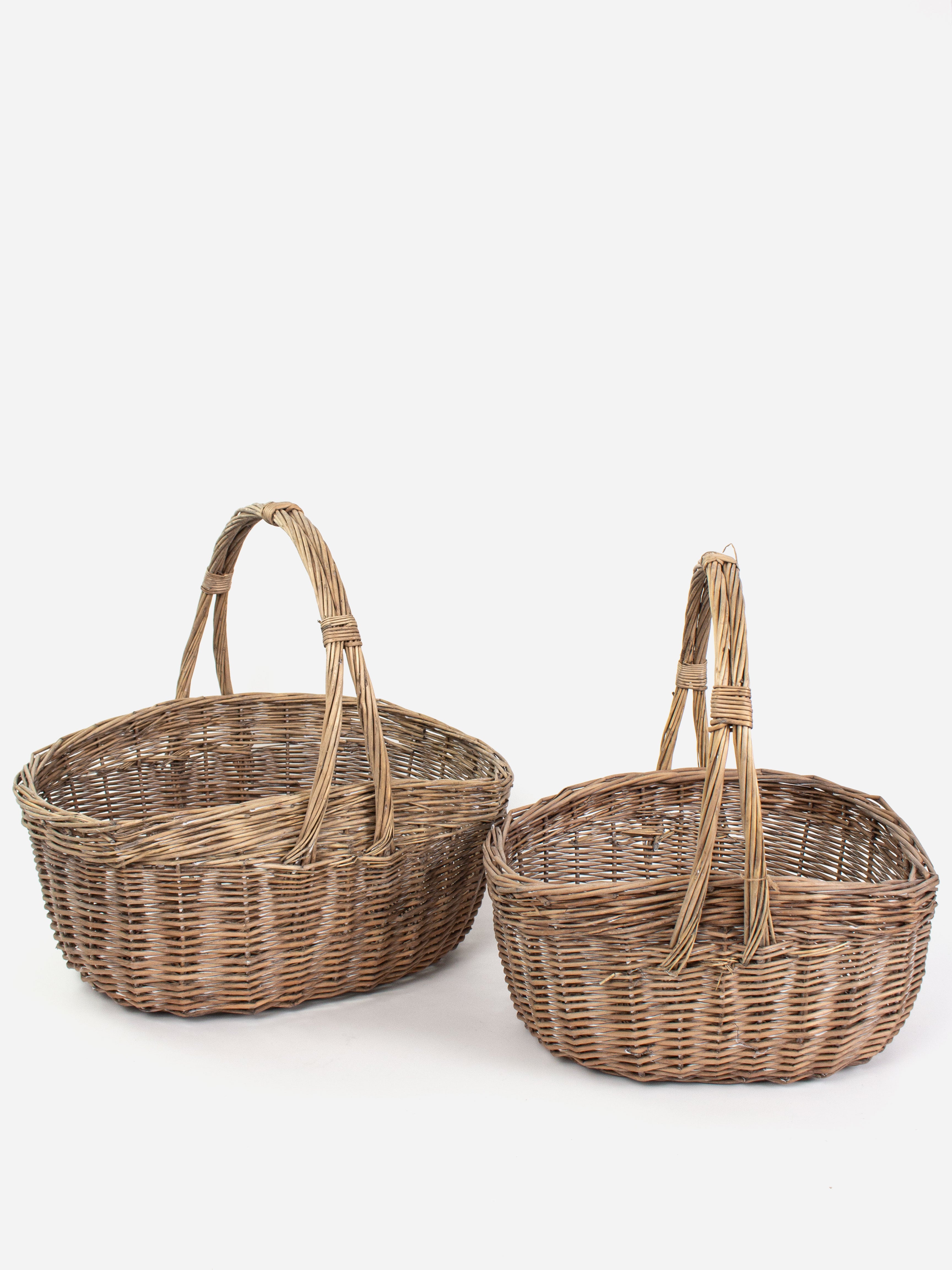 Riviera Woven Harvest Basket