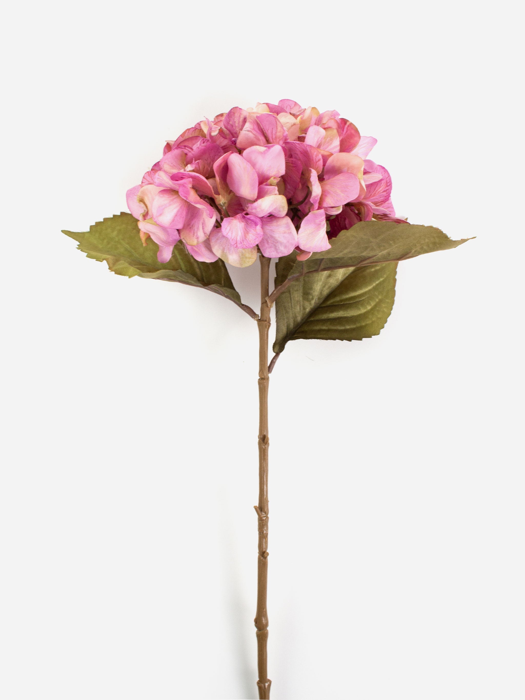 Rogue Pink Hydrangea Stem