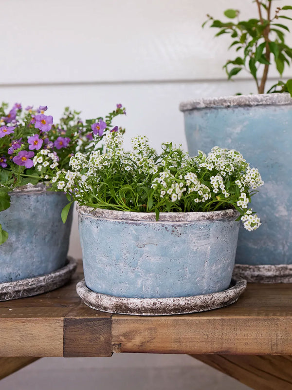 Sea Blue Wide Plant Pot & Saucer