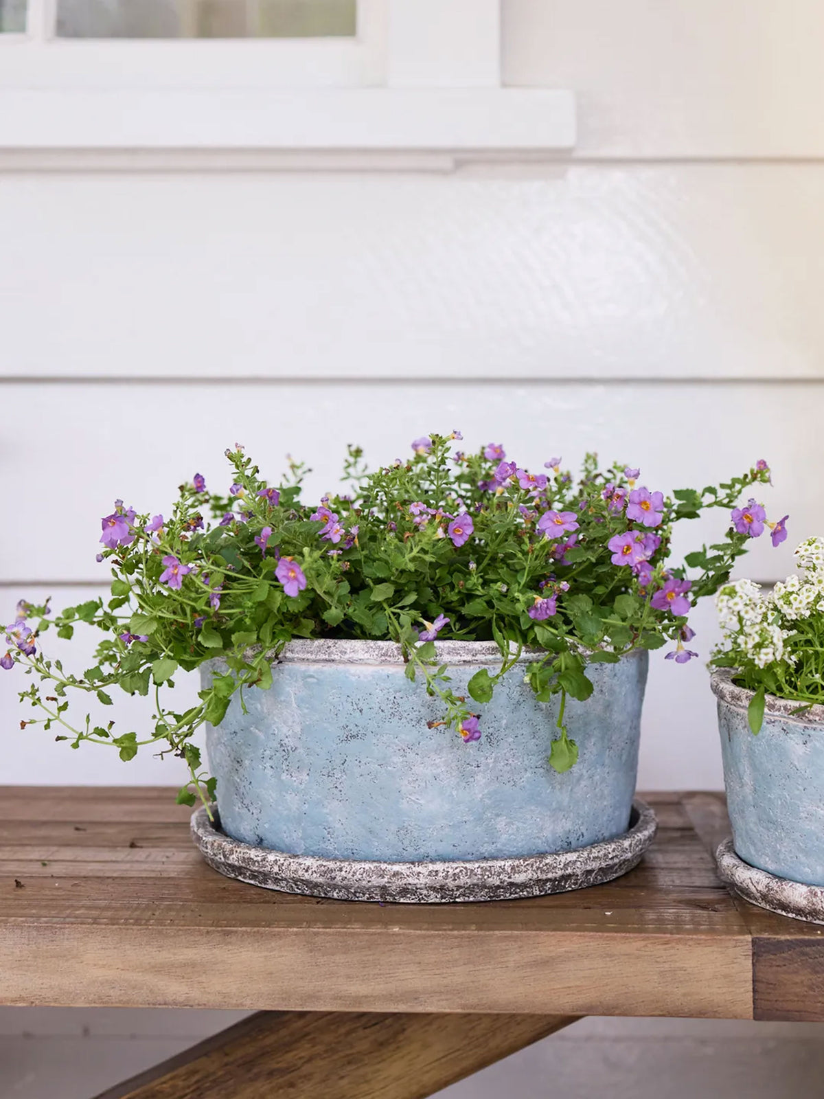 Sea Blue Wide Plant Pot & Saucer
